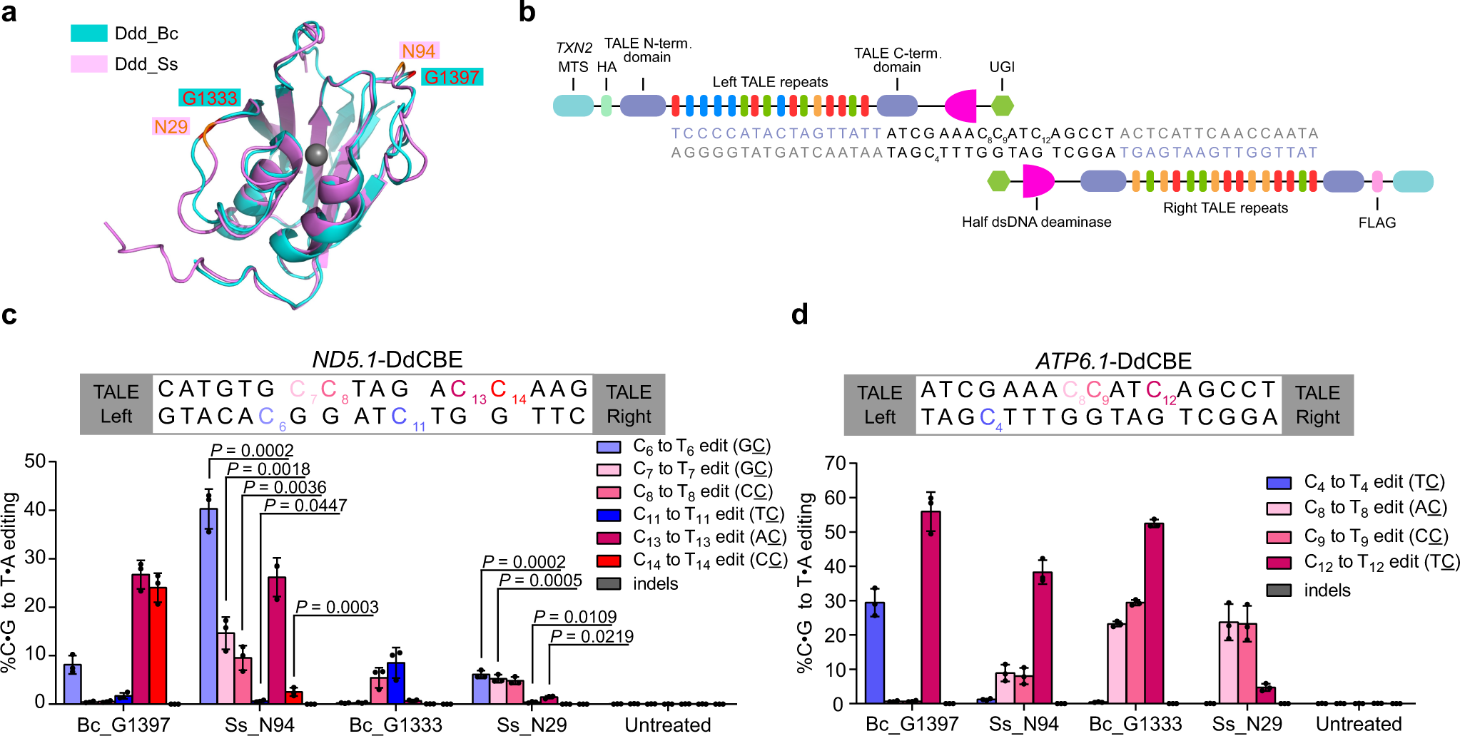 https://media.springernature.com/full/springer-static/image/art%3A10.1038%2Fs41467-023-36600-2/MediaObjects/41467_2023_36600_Fig2_HTML.png