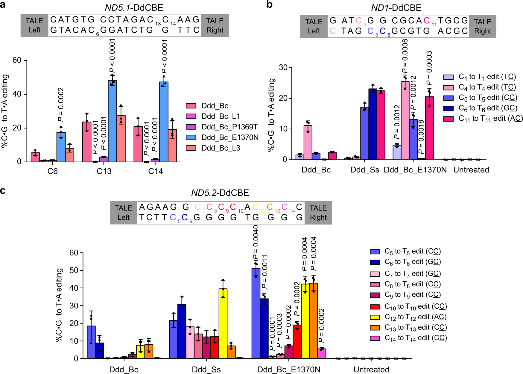 Fig. 5: E1370N mutation extensively increases the editing efficiency and sequence compatibility of DdCBE_Bc.