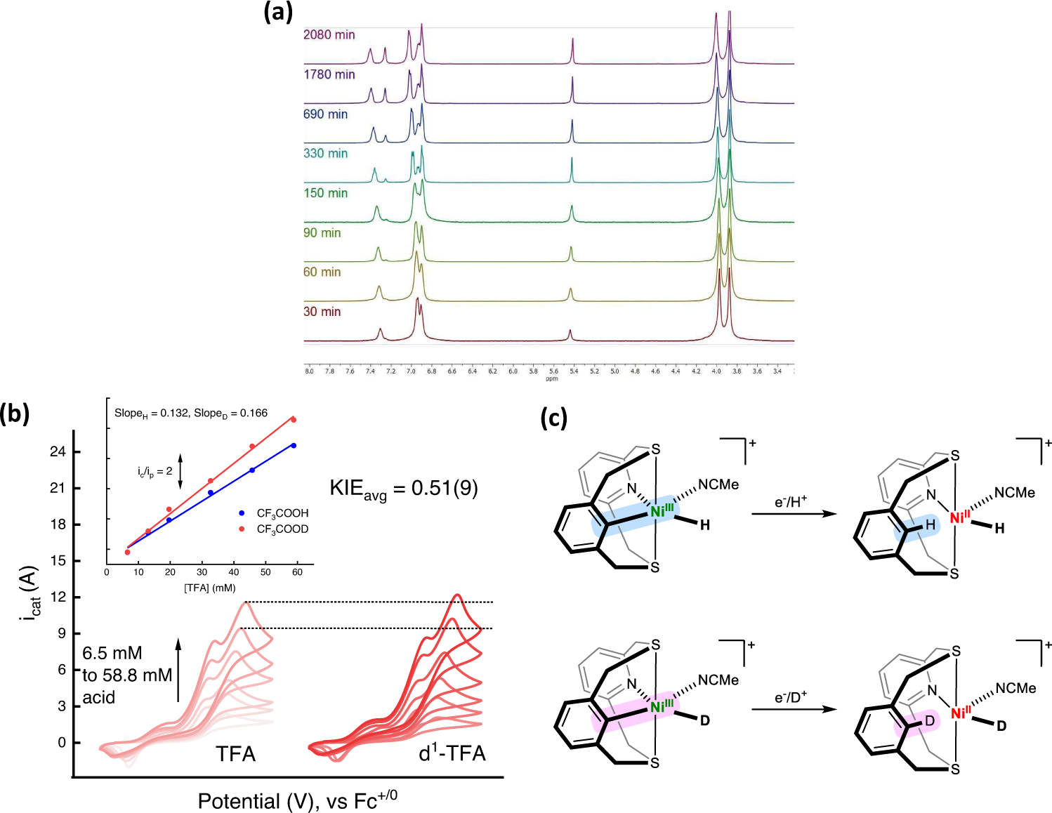 Fig. 6: C–H activation and electrochemical KIE measurements.