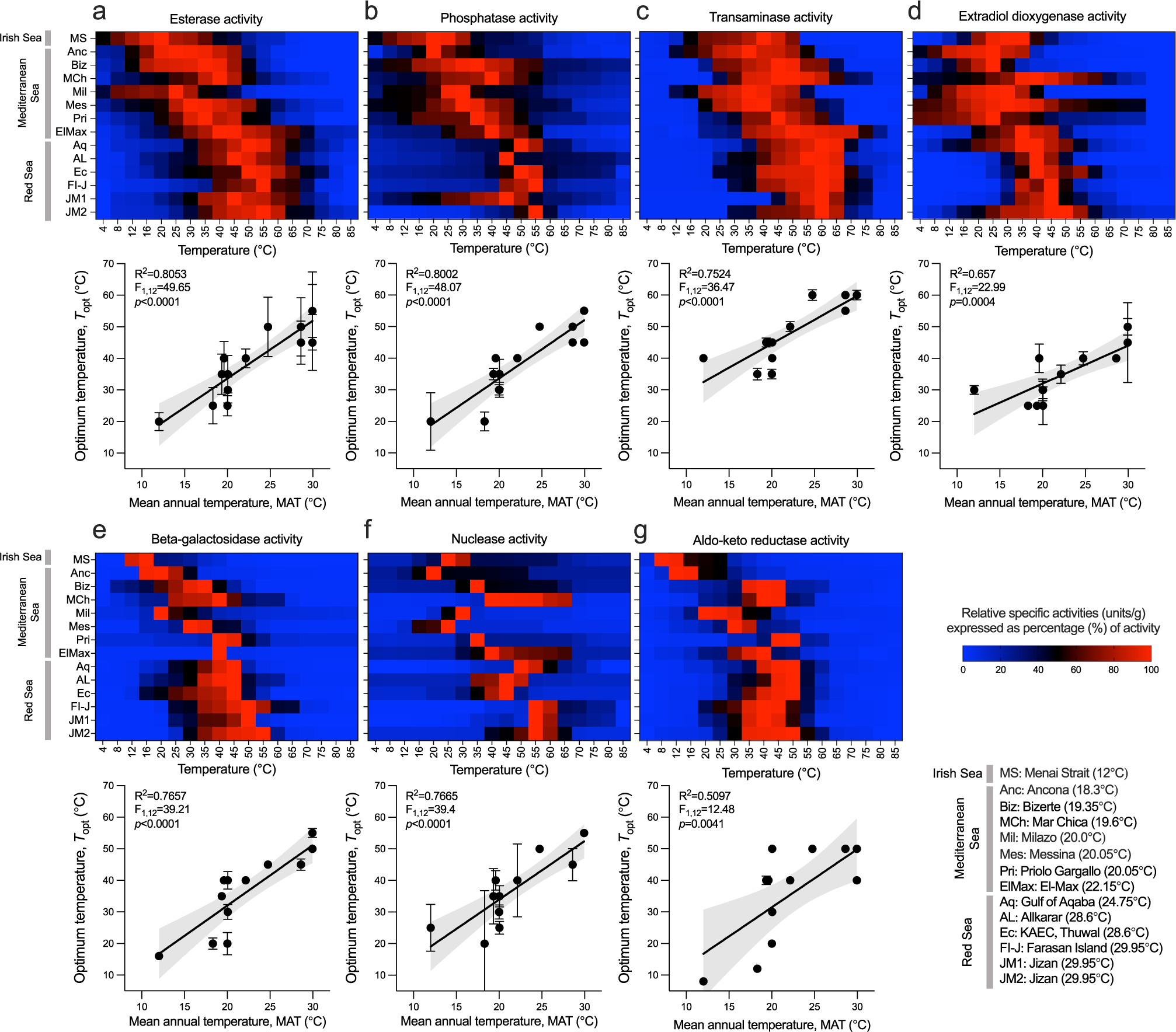 Enzyme adaptation to habitat thermal legacy shapes the thermal plasticity  of marine microbiomes