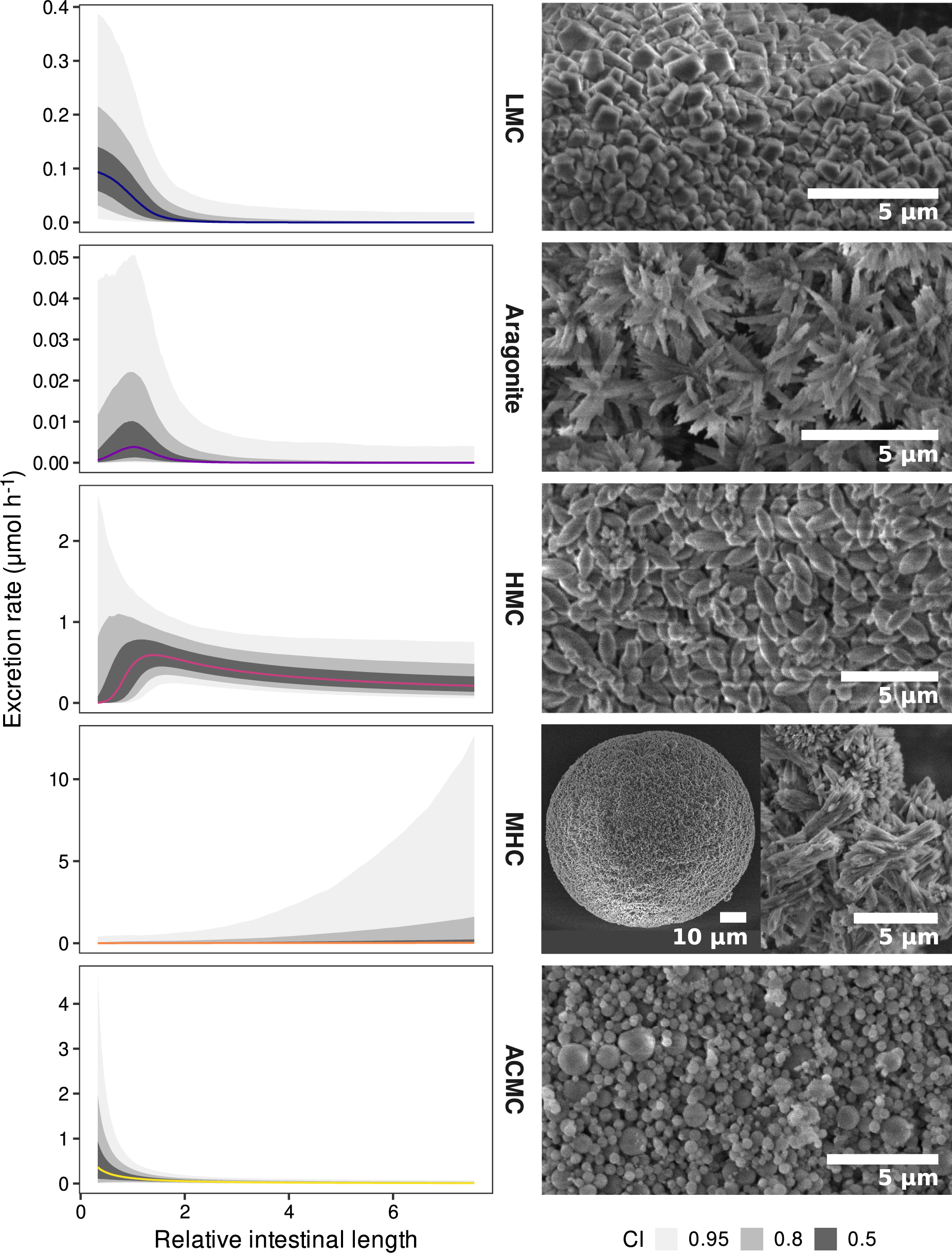 Fig. 4: Relative intestinal length affects reef fish carbonate composition.