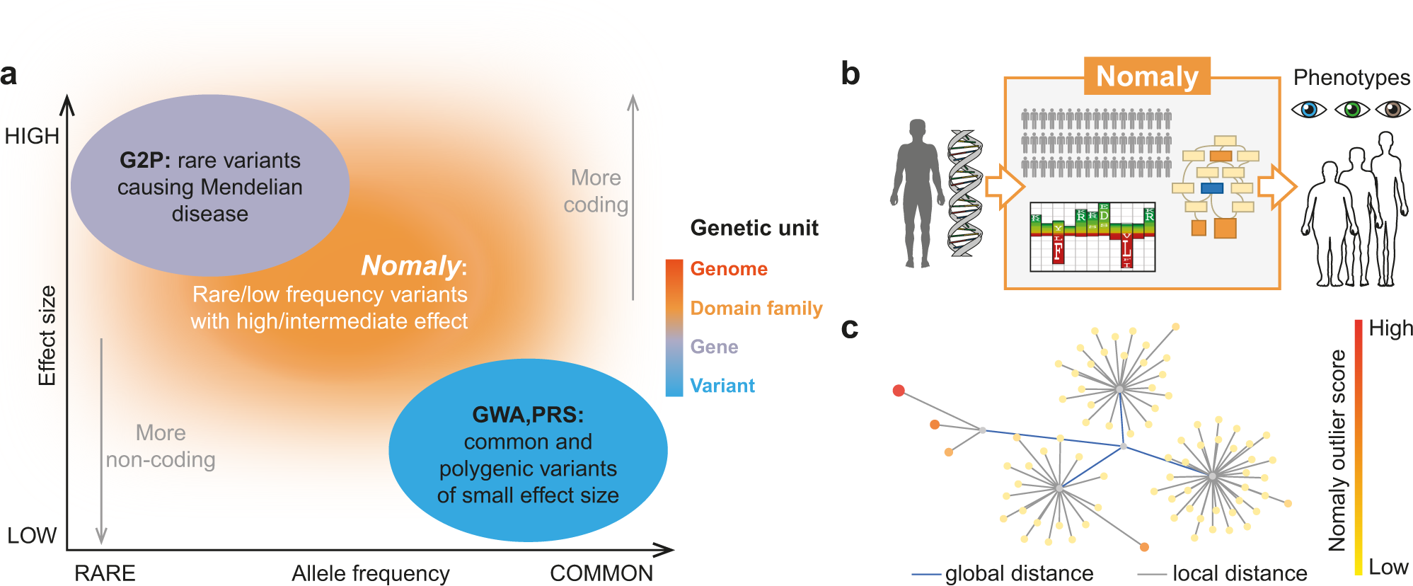 Genes, Free Full-Text