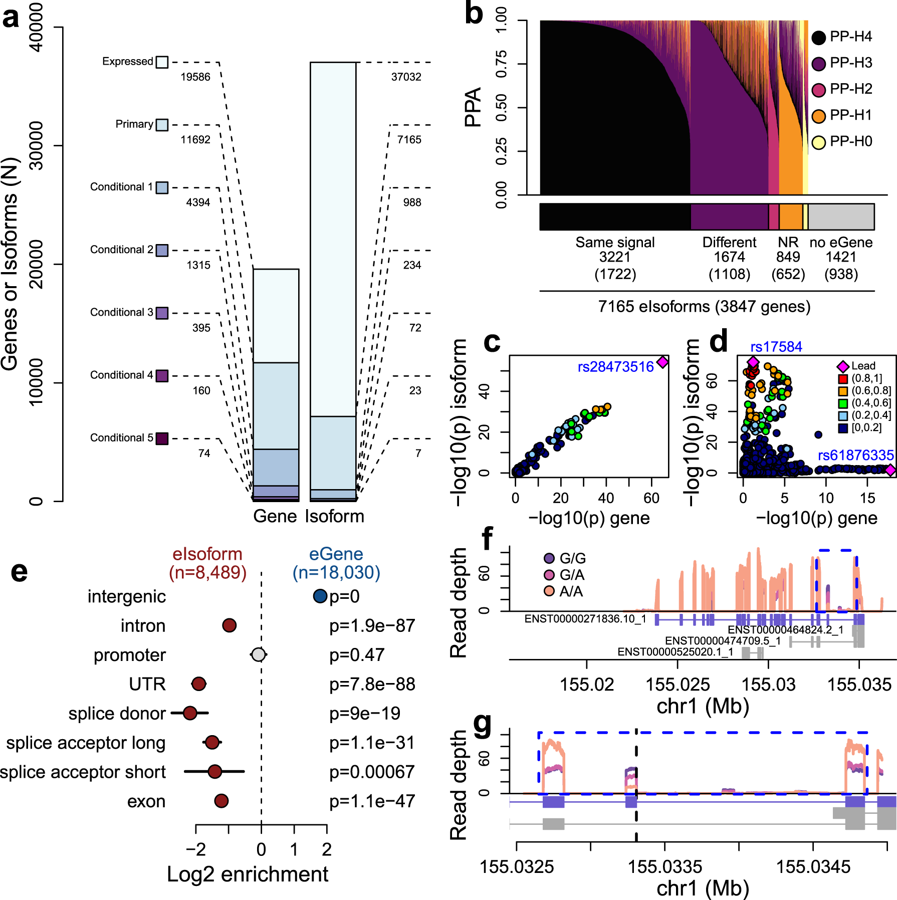 Single-Cell Epigenomics and Functional Fine-Mapping of