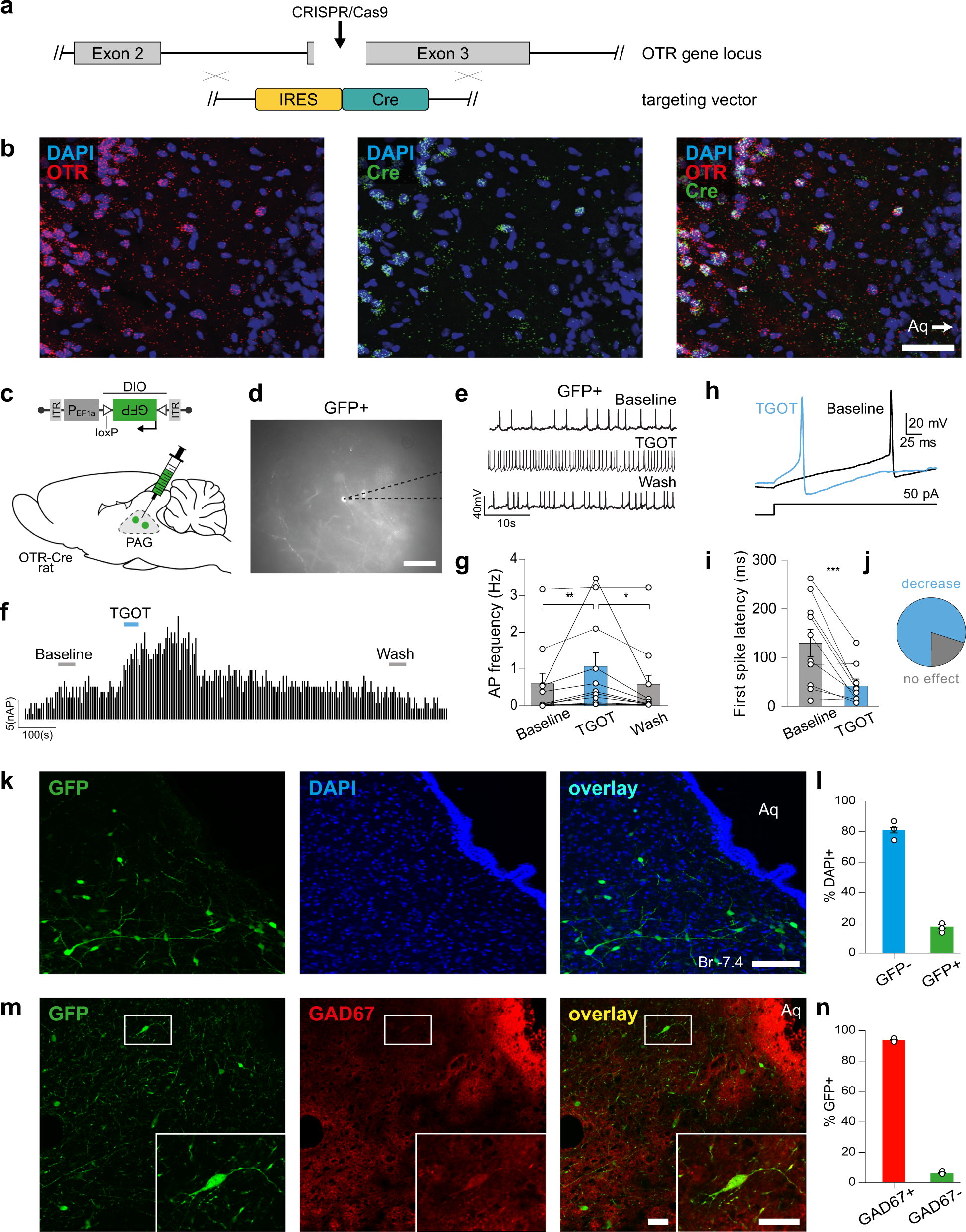 rat king, Stable Diffusion