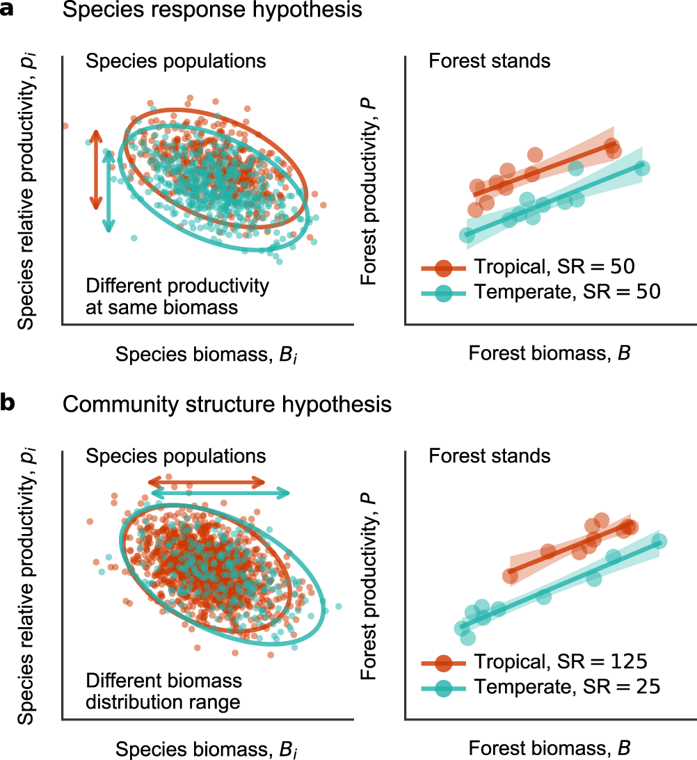 Fig. 1: Two hypotheses explaining higher forest woody productivity in warmer forest stands in relation to inter-specific productivity-biomass relationships.