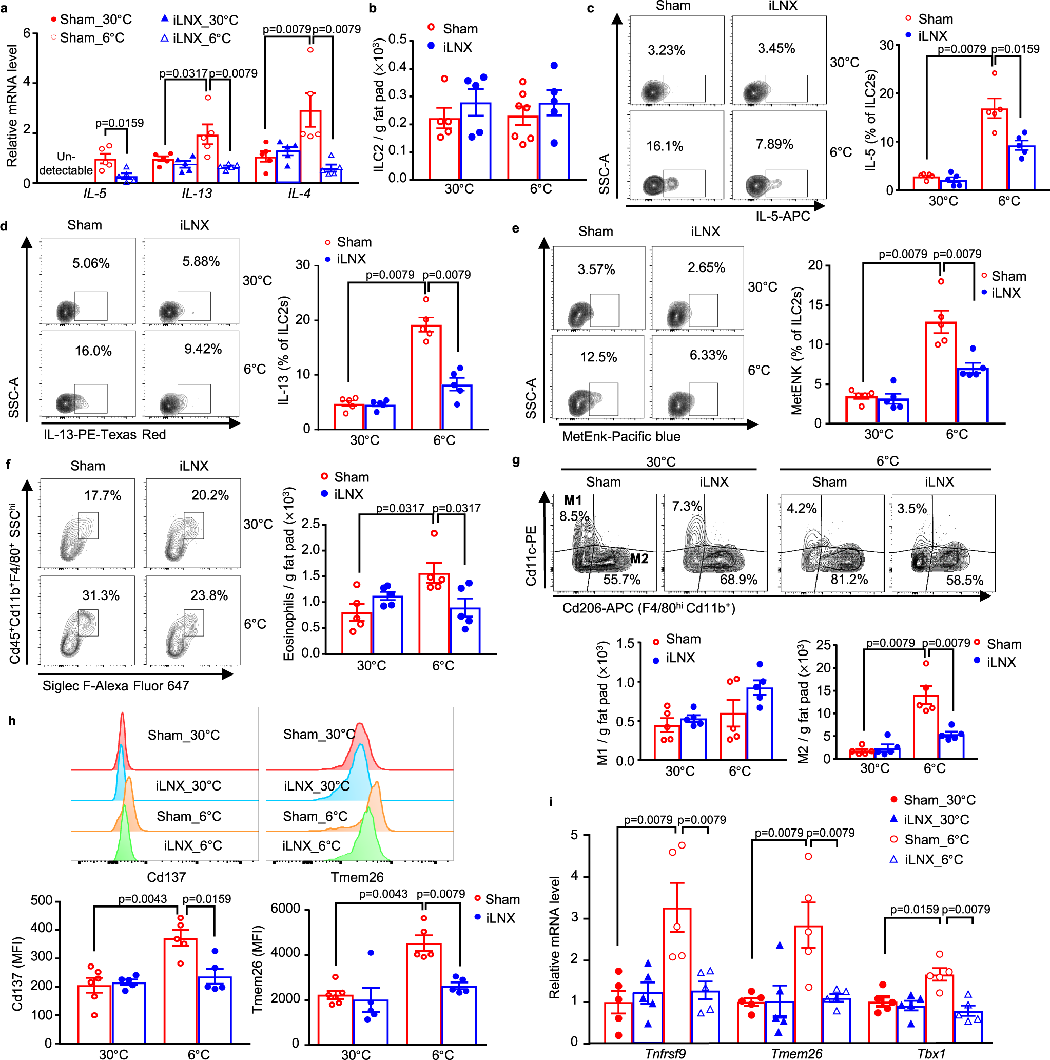 Fig. 2: iLN regulates cold-induced activation of ILC2s, recruitment of eosinophils, polarization of M2 macrophages and beiging of adipocytes in scWAT.