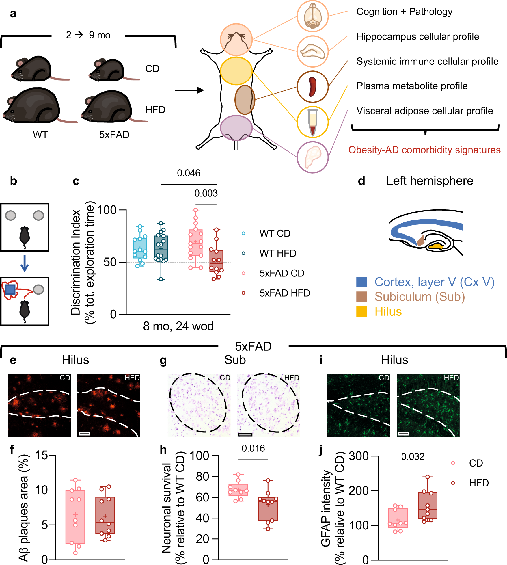 N-acetylneuraminic acid links immune exhaustion and accelerated memory deficit in diet-induced obese Alzheimers disease mouse model Nature Communications