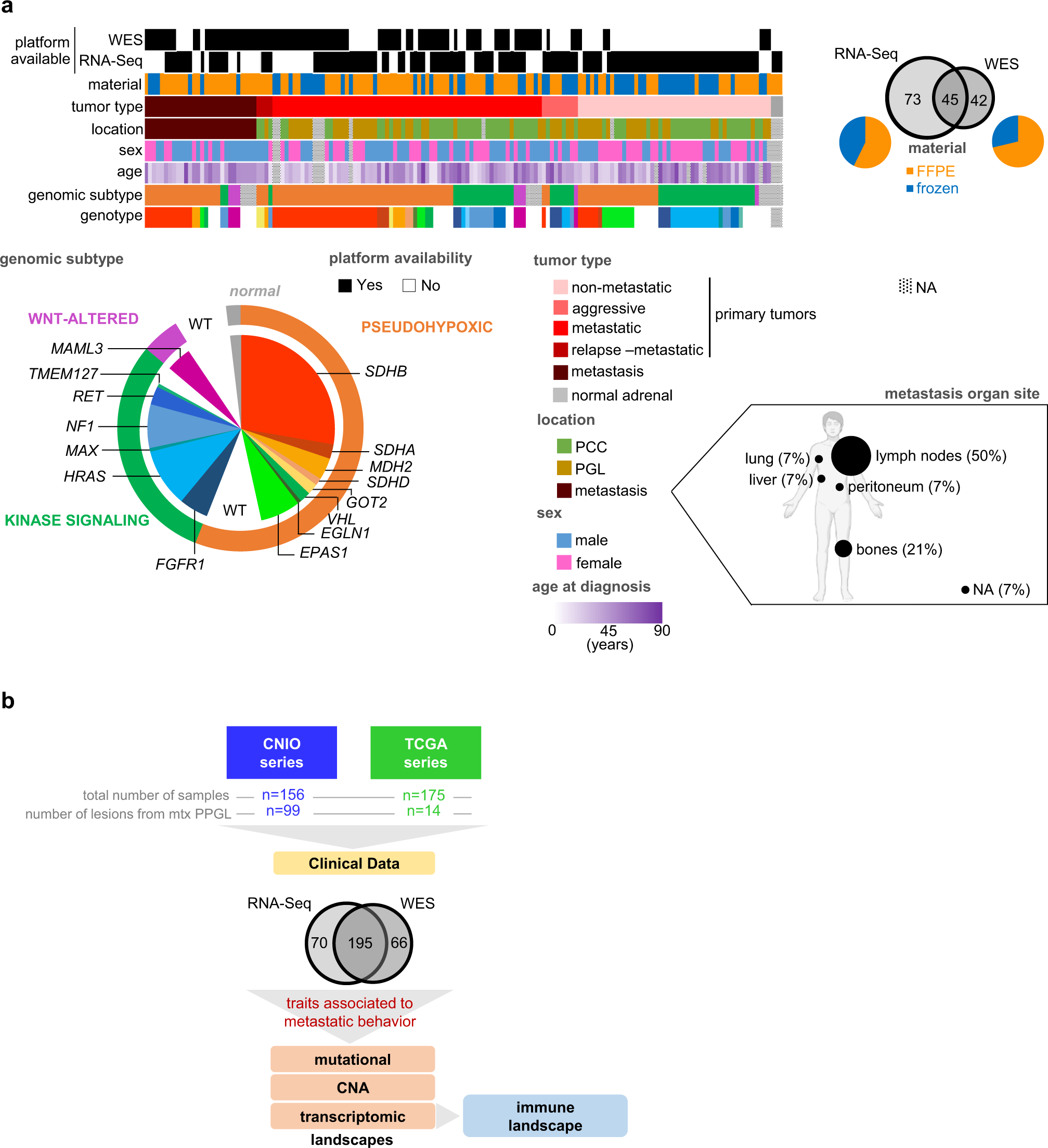 Genomic and immune landscape Of metastatic pheochromocytoma and  paraganglioma | Nature Communications