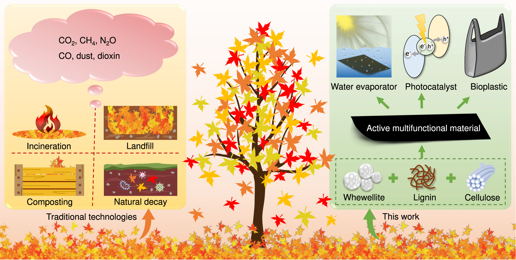 Lessons from natural photosynthesis: conversion of CO2 to raw materials for  plastic!