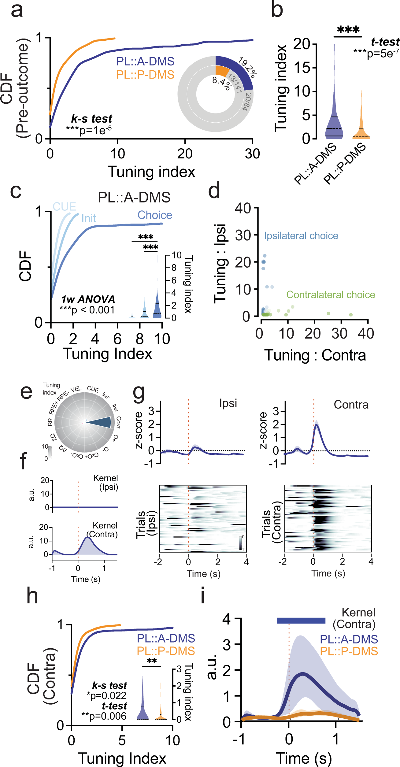 Fig. 5: Pre-outcome tuning is dominated by preferential encoding of choice in PL::A-DMS.