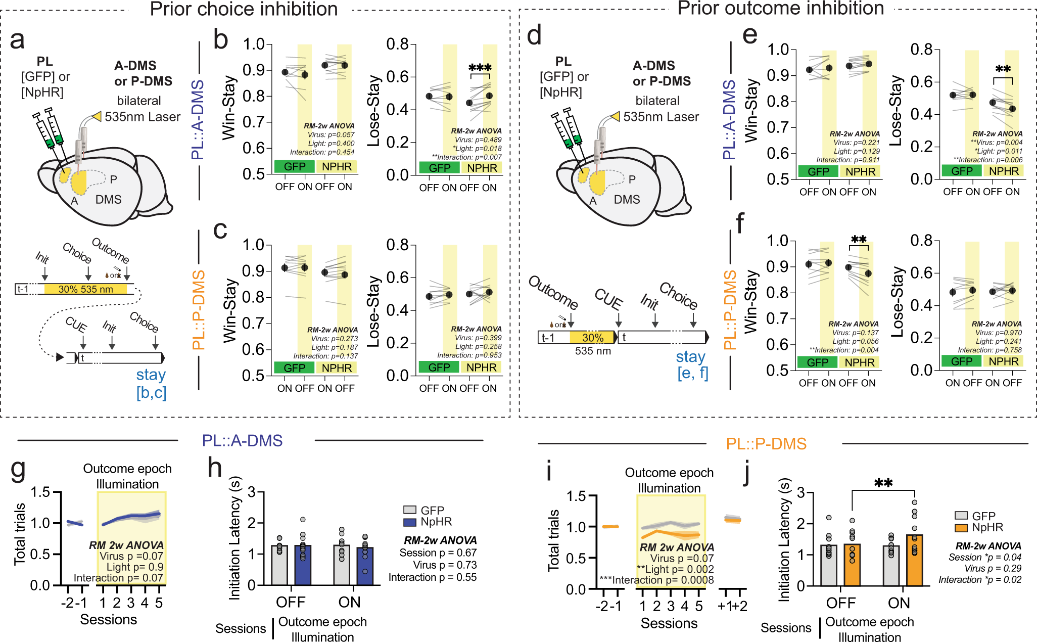 Fig. 8: Optogenetic suppression during choice/outcome epoch impaired subsequent choice selection in a pathway-specific manner.