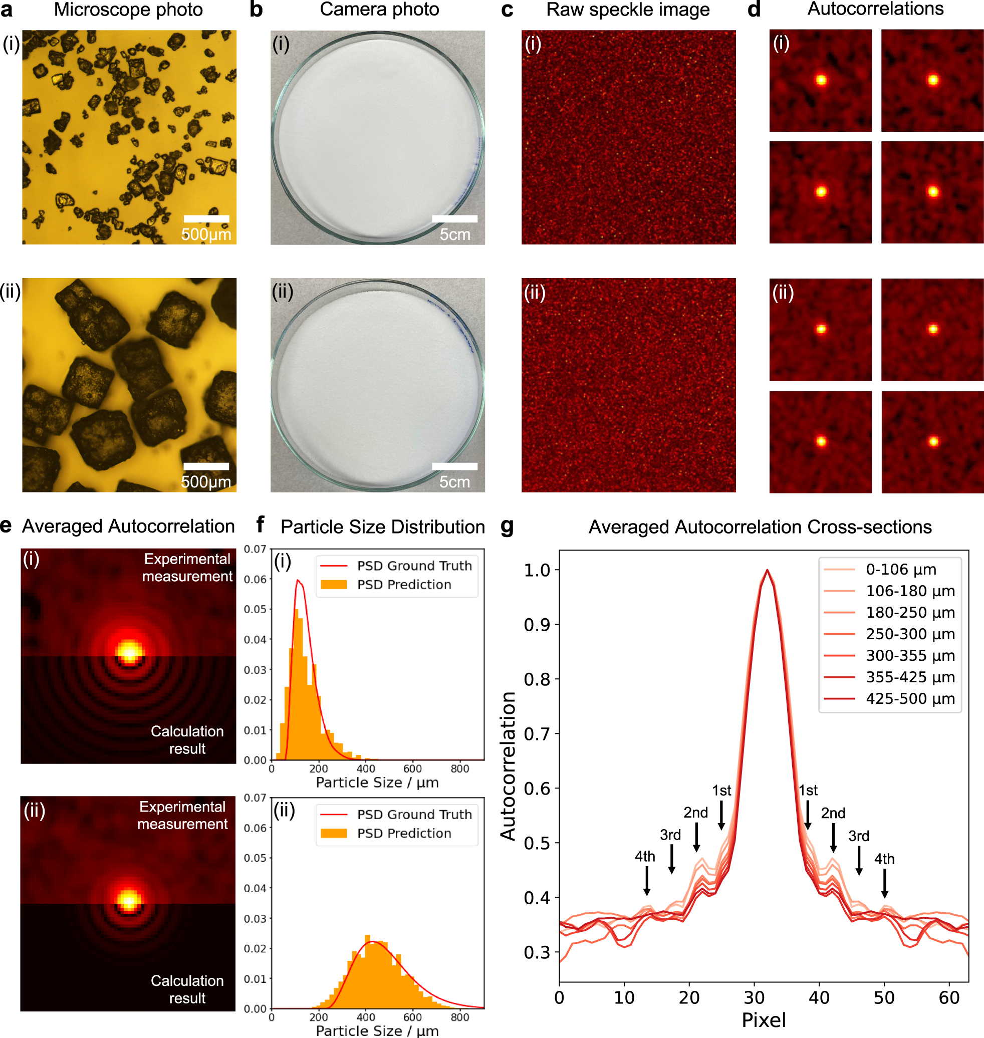 Fig. 2: KCl powder results with sizes (i) ~106–180 μm and (ii) ~425–500 μm.