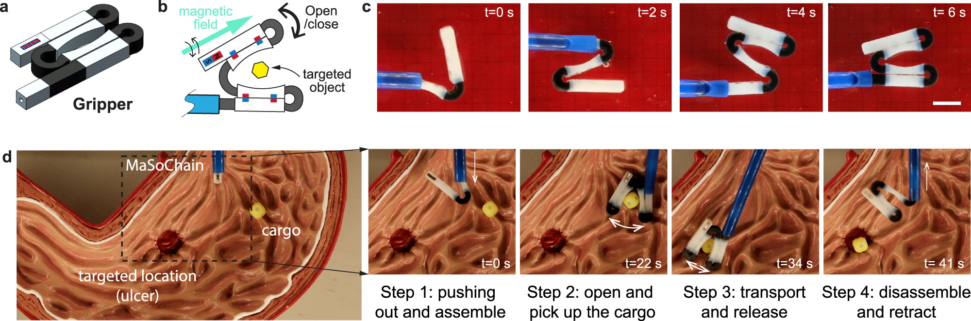 Fig. 5: Large magnetic tweezers from self-folding MaSoChain.