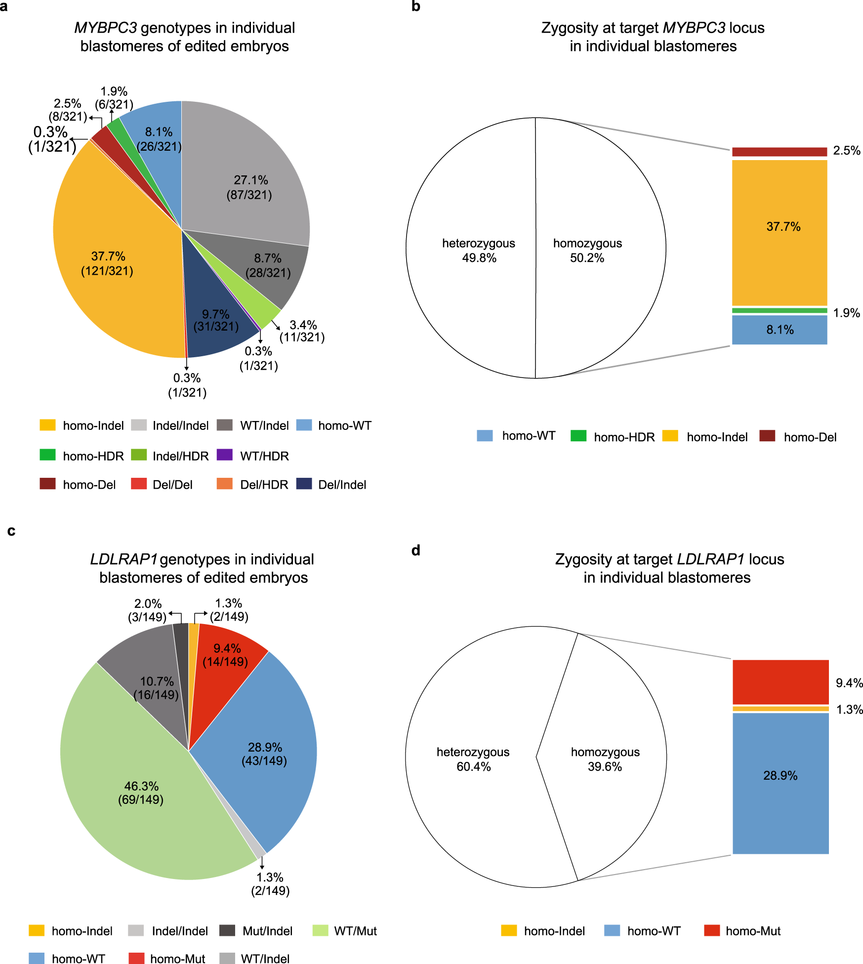 Fig. 1: Biallelic DNA DSB repair at MYBPC3 locus of human embryos.