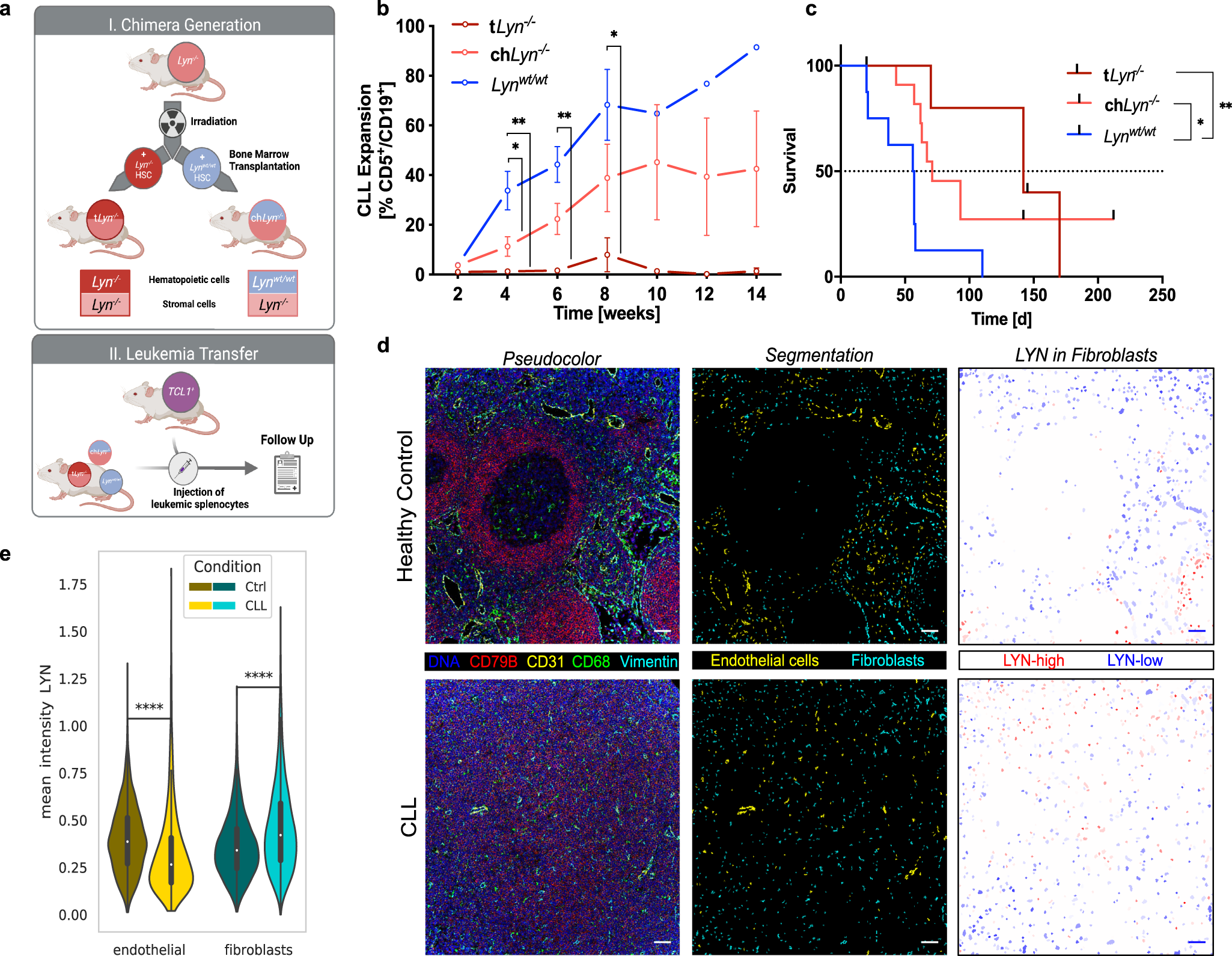LYN kinase programs stromal fibroblasts to facilitate leukemic survival via  regulation of c-JUN and THBS1 | Nature Communications