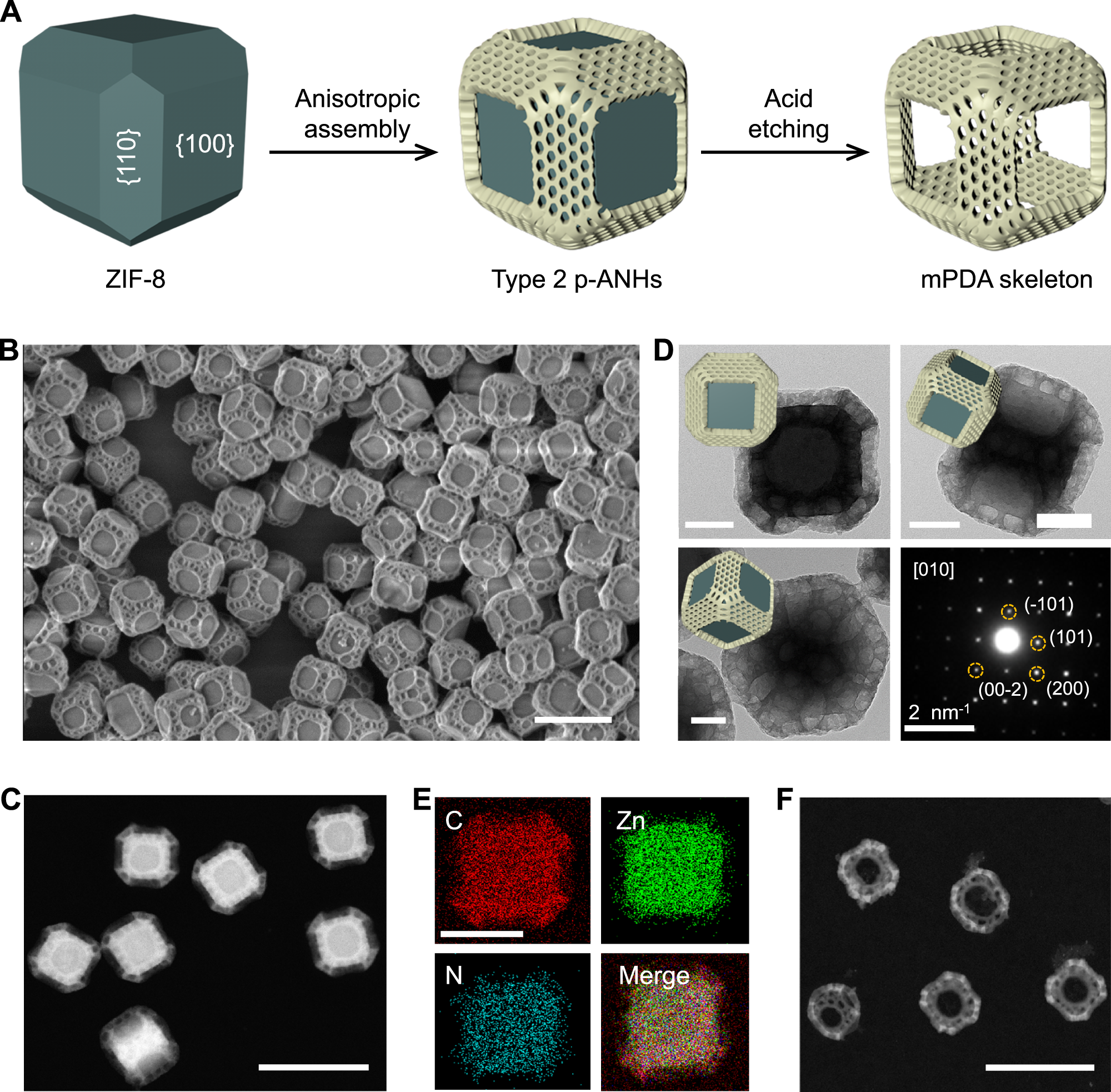 Fig. 2: Synthesis and characterizations of type 2 p-ANHs.