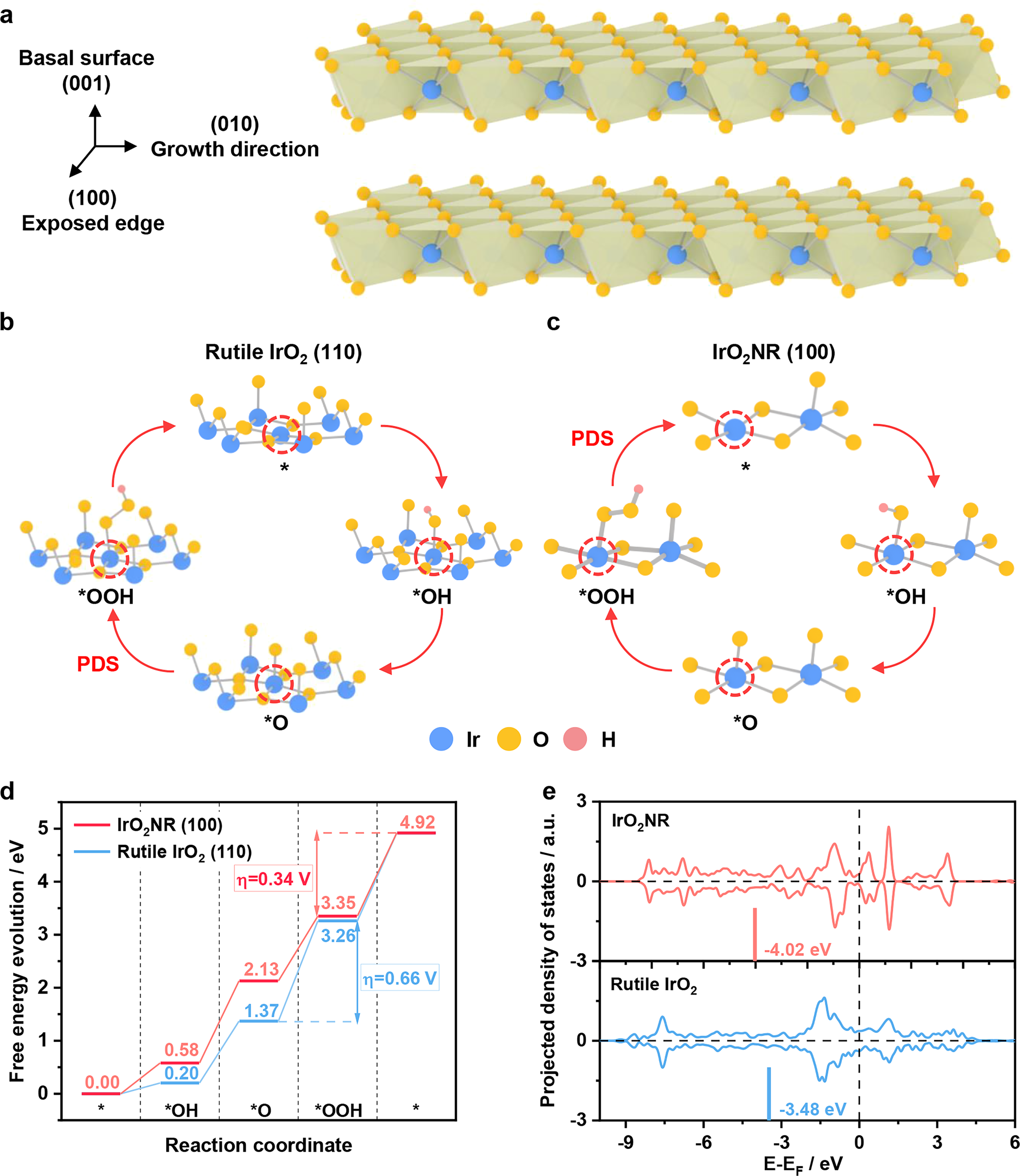 Fig. 4: Theoretical analysis of the OER for the IrO2NR.