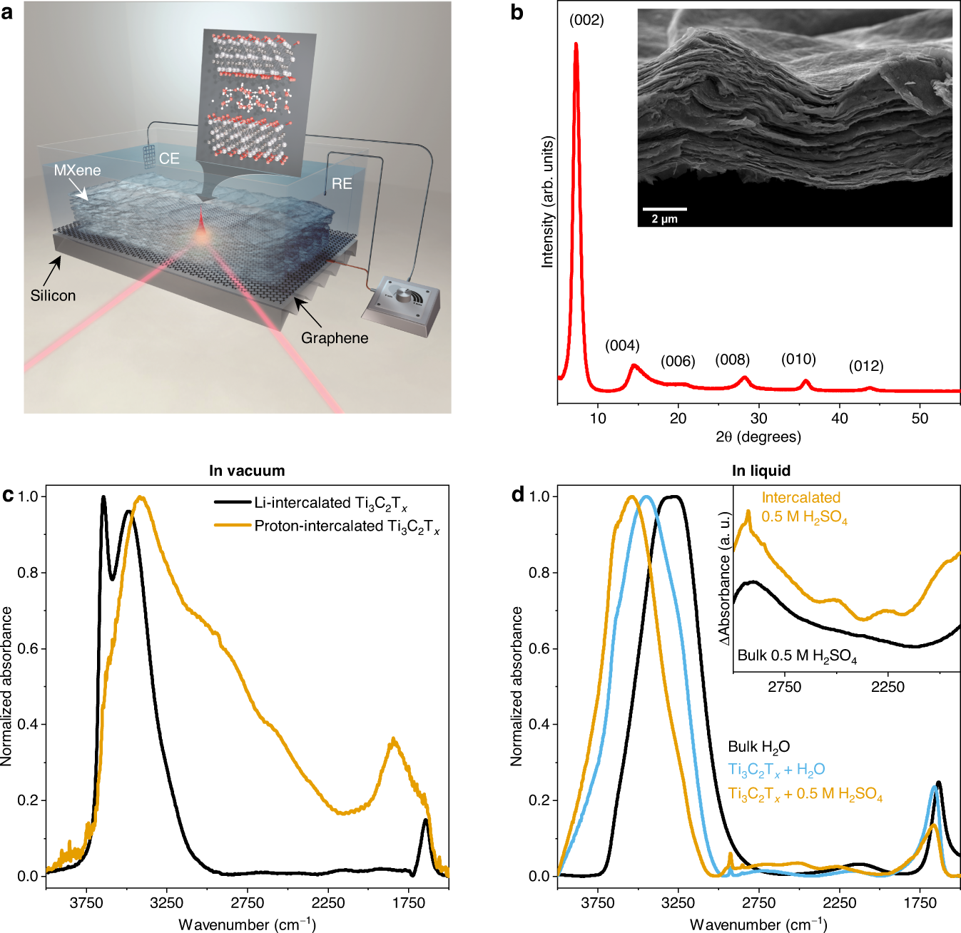 Operando Infrared Spectroscopy Reveals the Dynamic Nature of