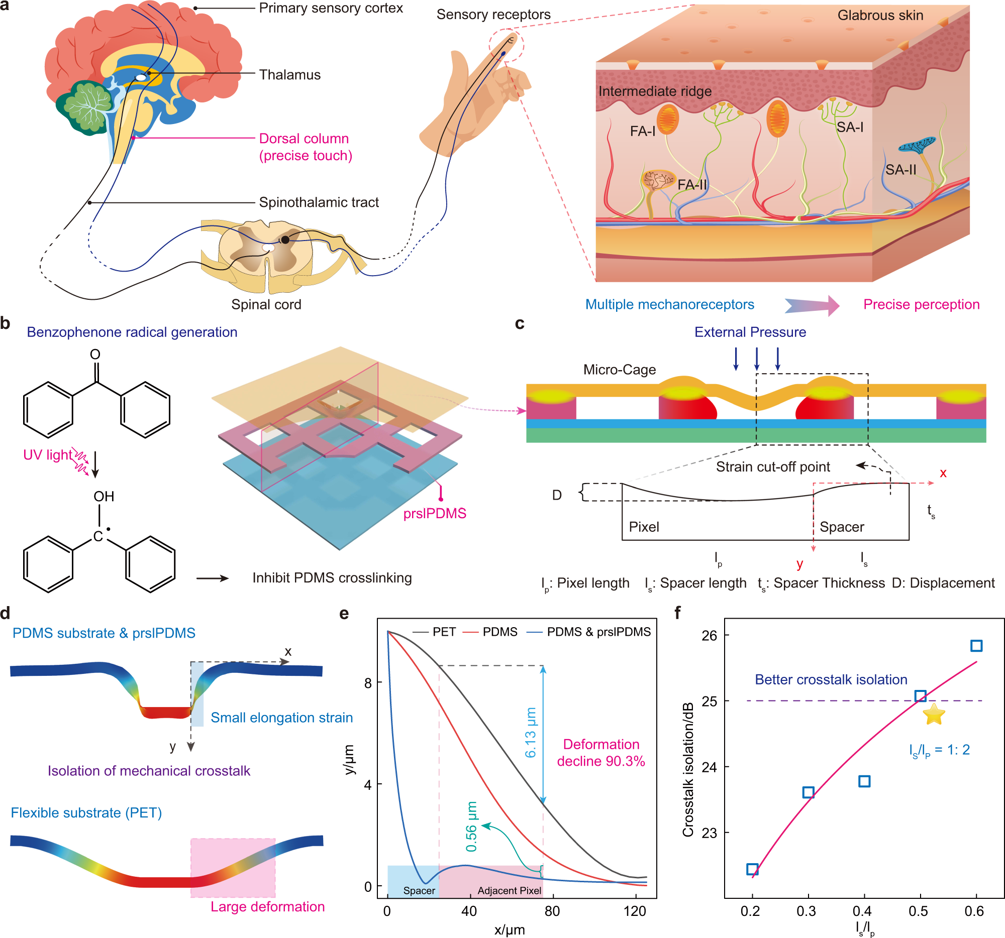 Fig. 1: Principle of ultralow crosstalk sensor with micro-cage structure based on prslPDMS layer.