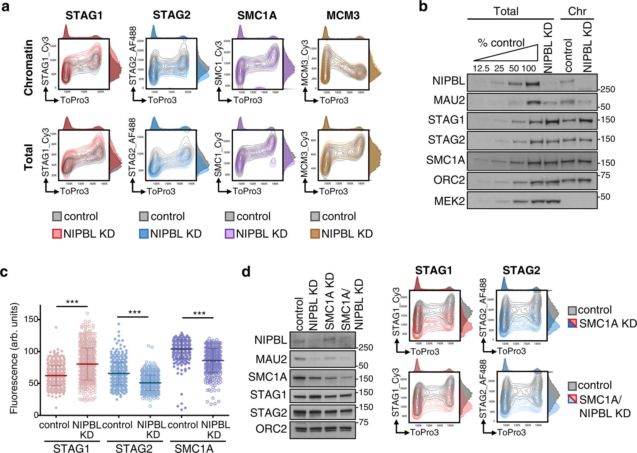 Different NIPBL requirements of cohesin-STAG1 and cohesin-STAG2 | Nature  Communications