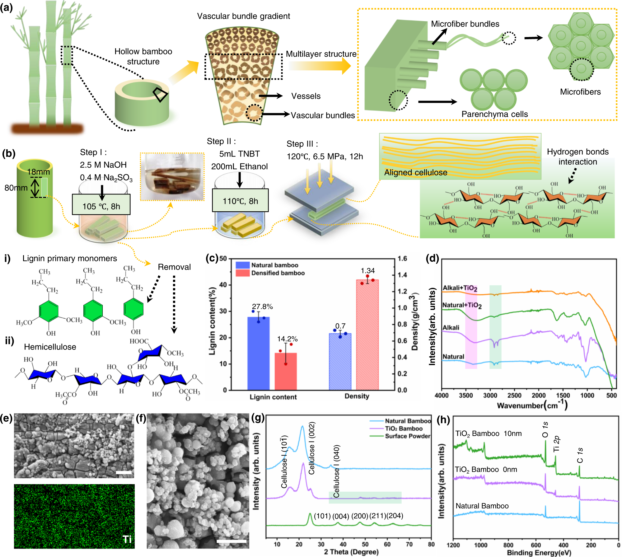 Bridging functional nanocomposites to robust macroscale devices