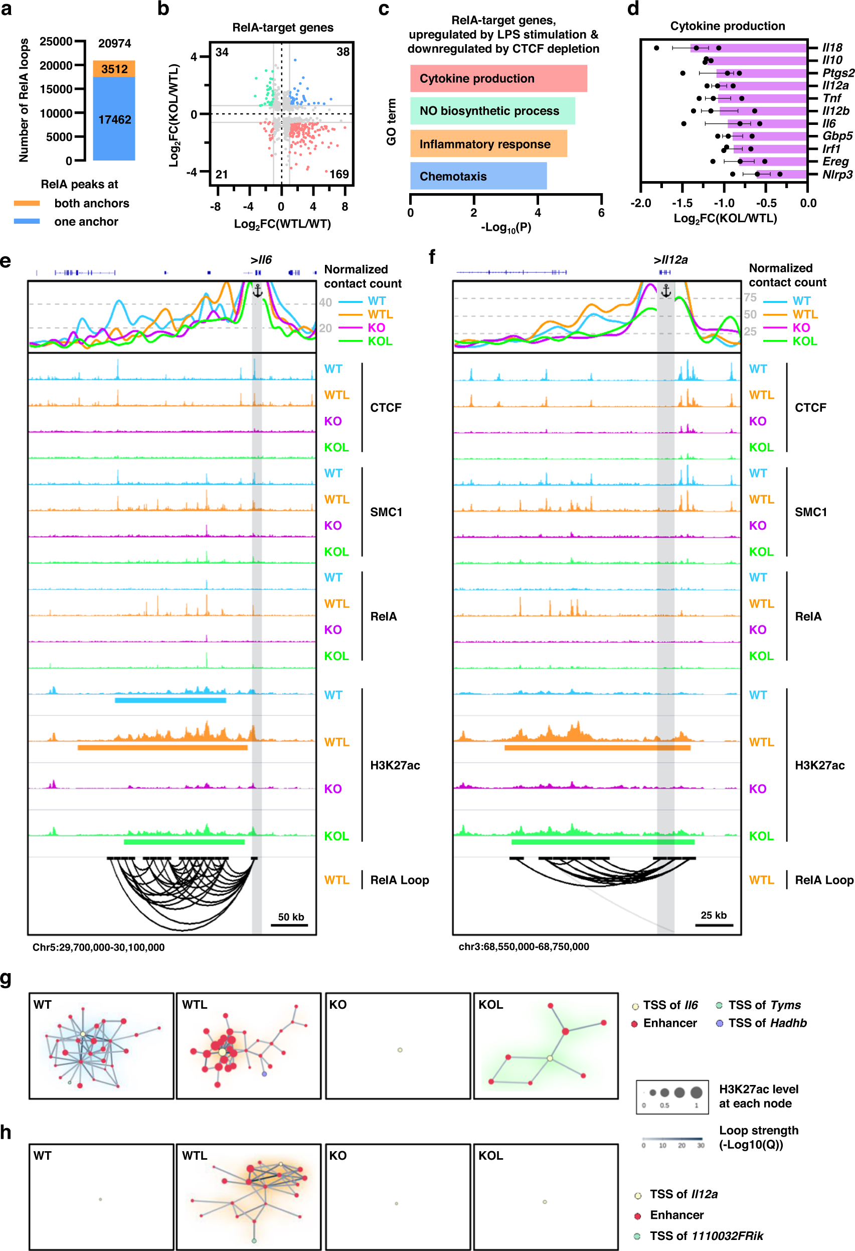 Fig. 7: LPS-stimulated expression of pro-inflammatory cytokines was diminished in CTCF-deficient BMDCs.