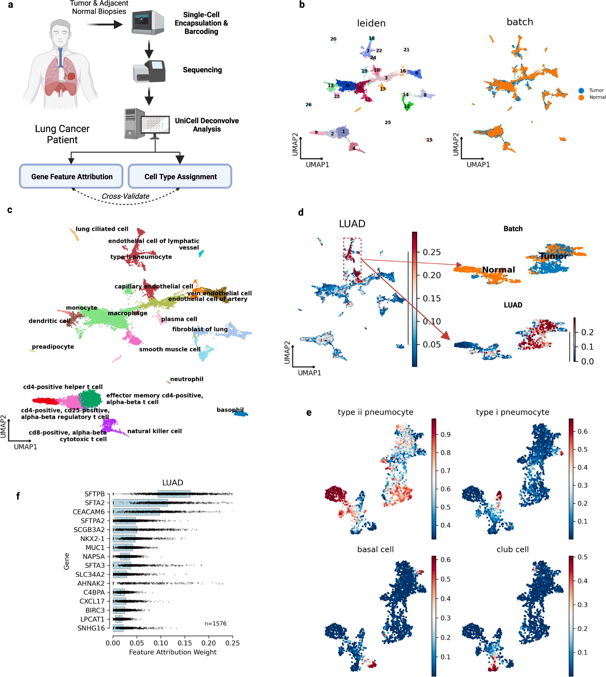 Fig. 5: UniCell assists in rapid annotation of an integrated scRNA-seq Non-Small Cell Lung Cancer (NSCLC) dataset.