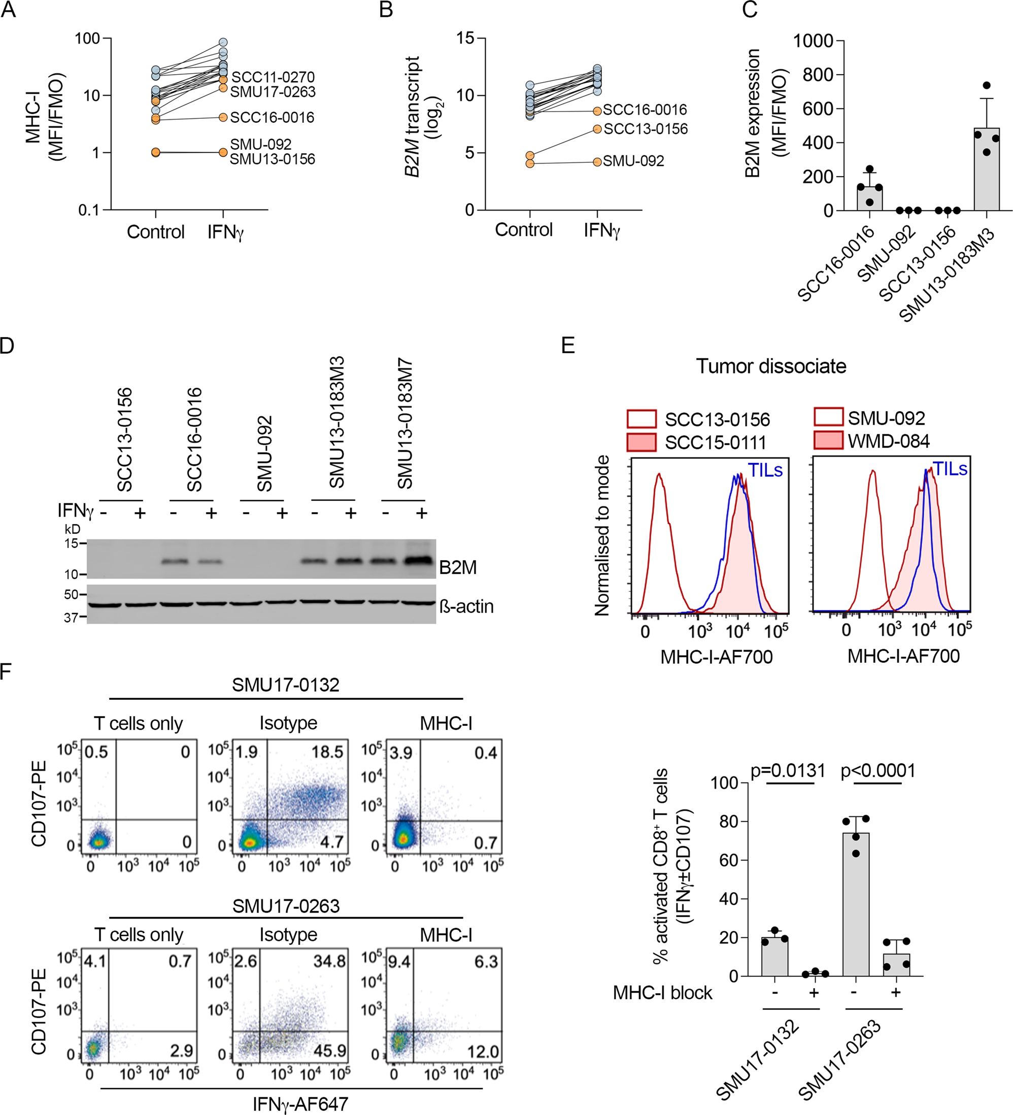 Fig. 5: MHC-I expression in PD1 PROG cell lines.