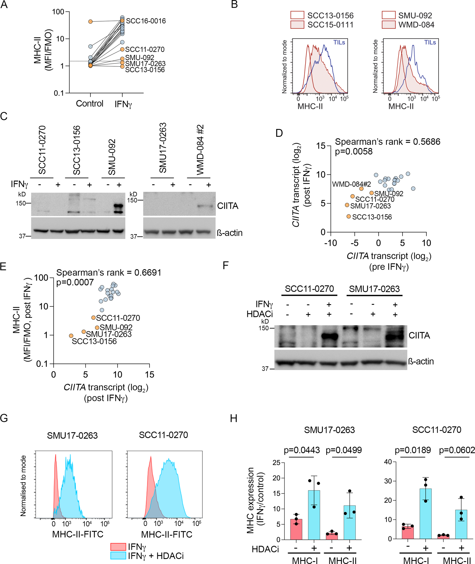 Fig. 6: MHC-II expression is silenced in PD1 PROG cell lines.