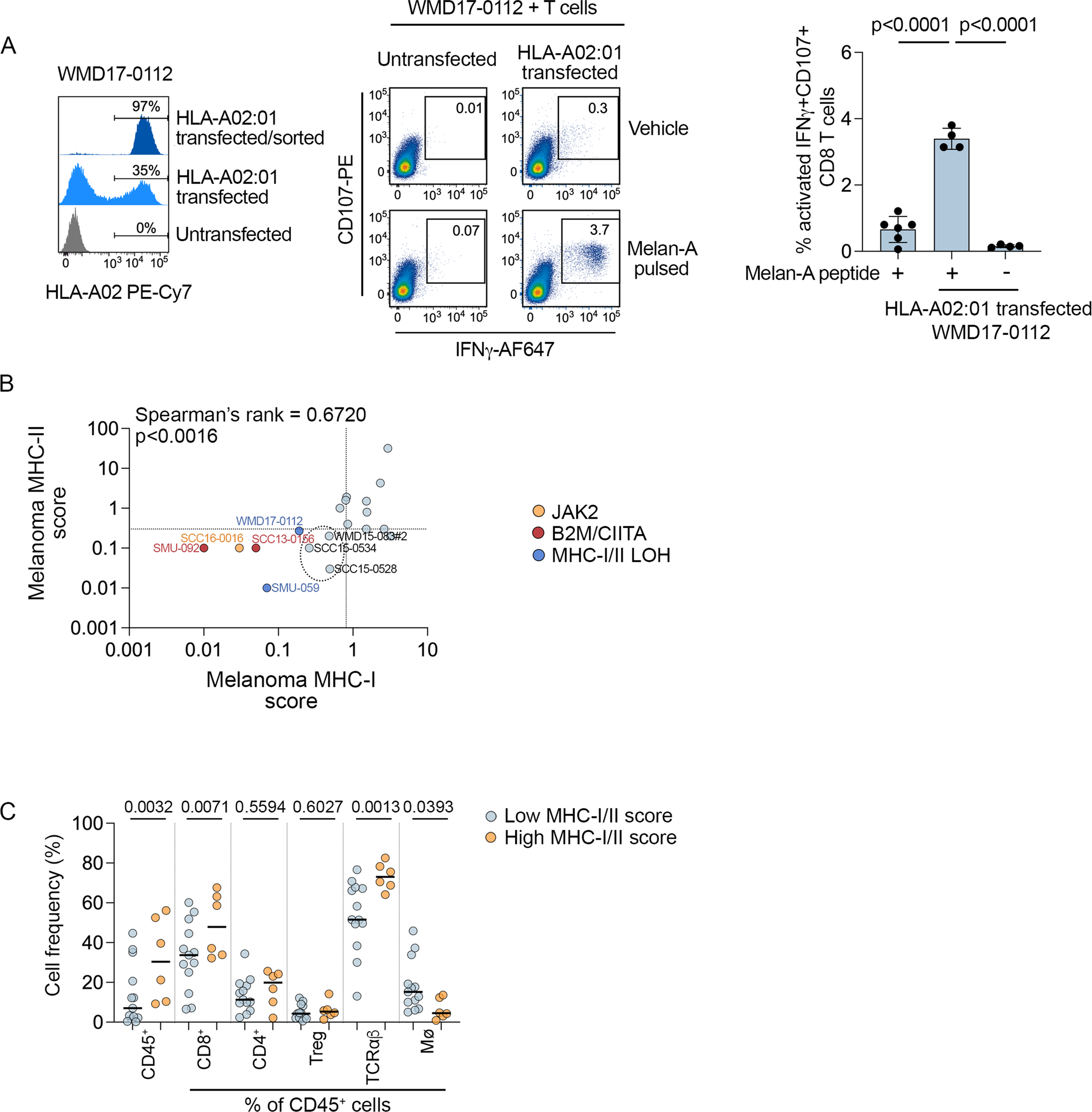 Fig. 7: Loss of MHC antigen presentation molecules.