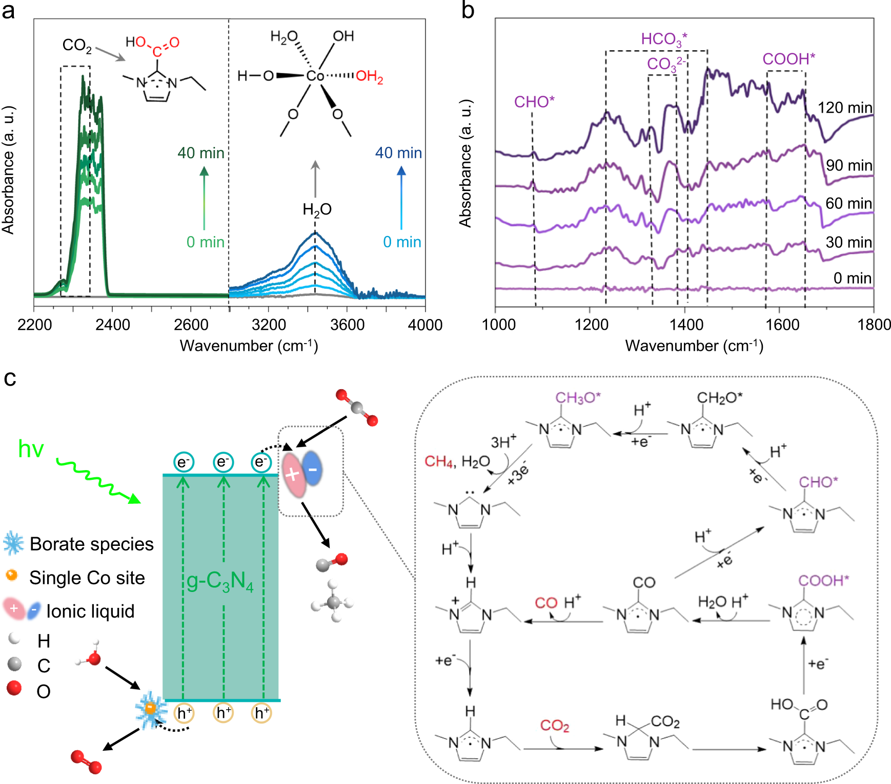 Fig. 5: Mechanism for CO2 photoreduction on IL/Co-bCN.