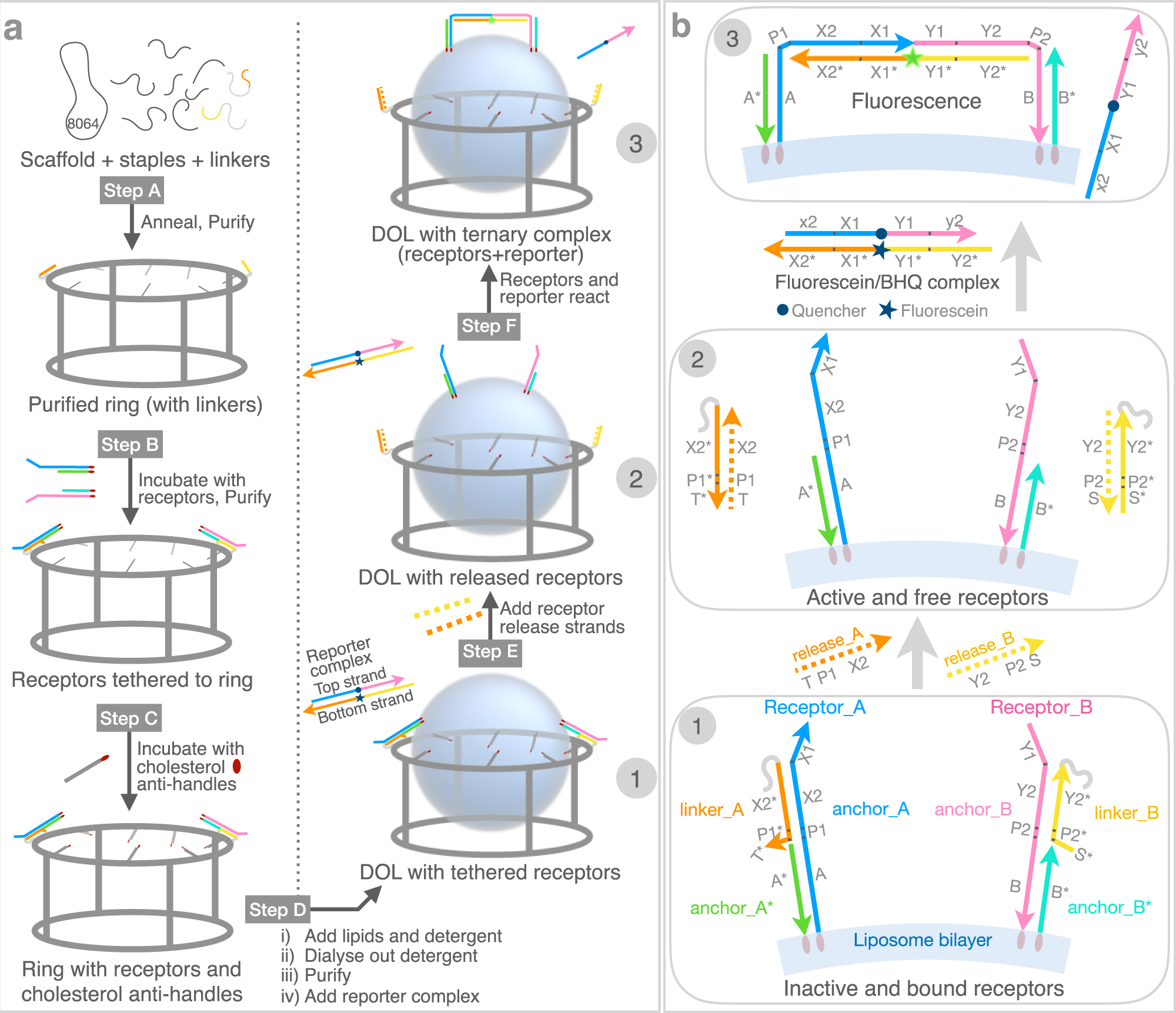 Mastering Precision: Advanced Control in Google Sn by