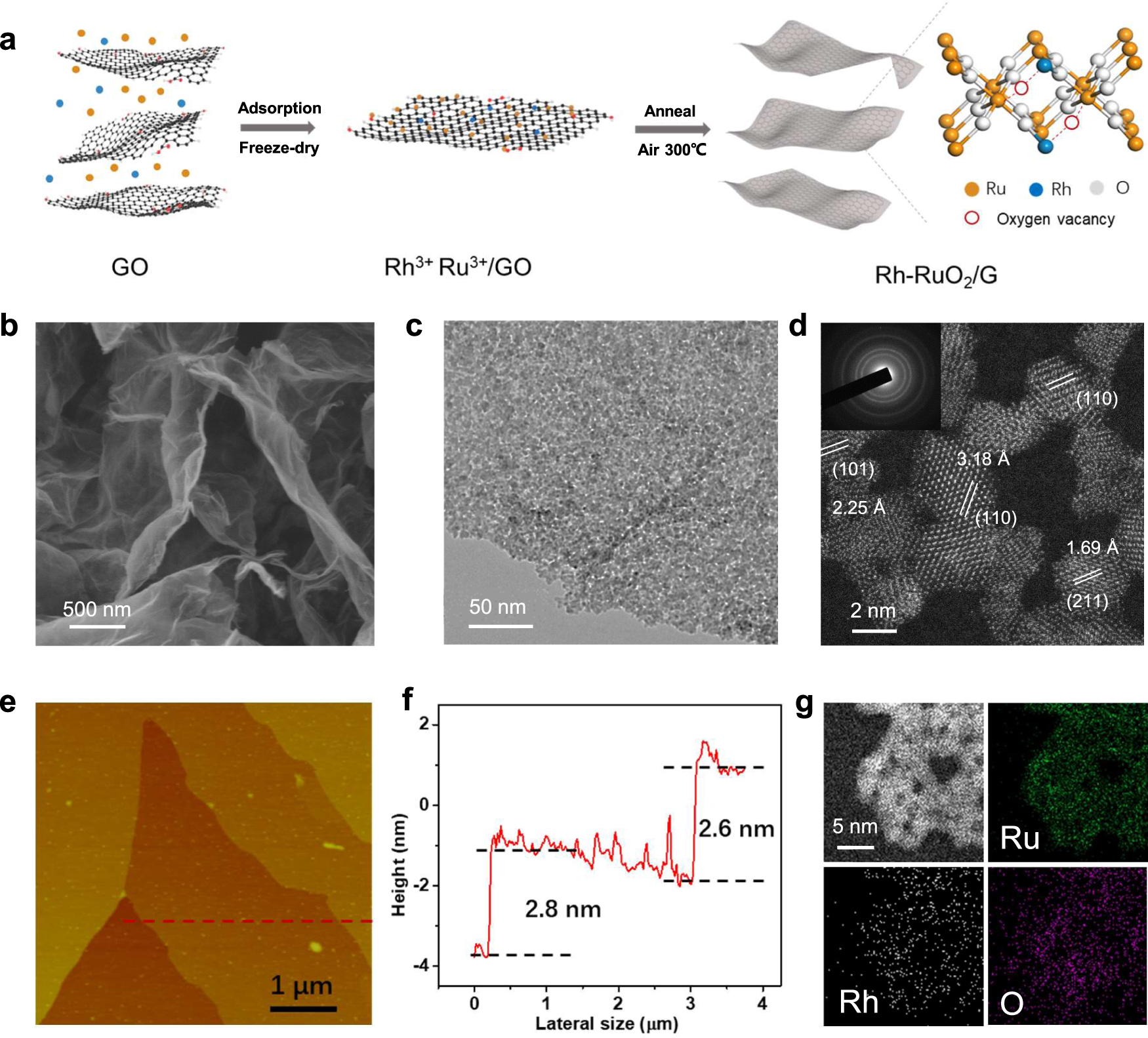 Constant Change: Exploring Dynamic Oxygen Evolution Reaction Catalysis and  Material Transformations in Strontium Zinc Iridate Perovskite in Acid