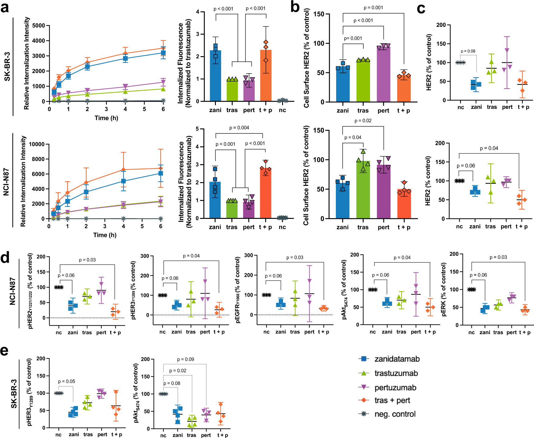 Fig. 5: Zanidatamab promotes Ab internalization, surface and total HER2 downregulation and signal inhibition in SK-BR-3 and NCI-N87 cells.