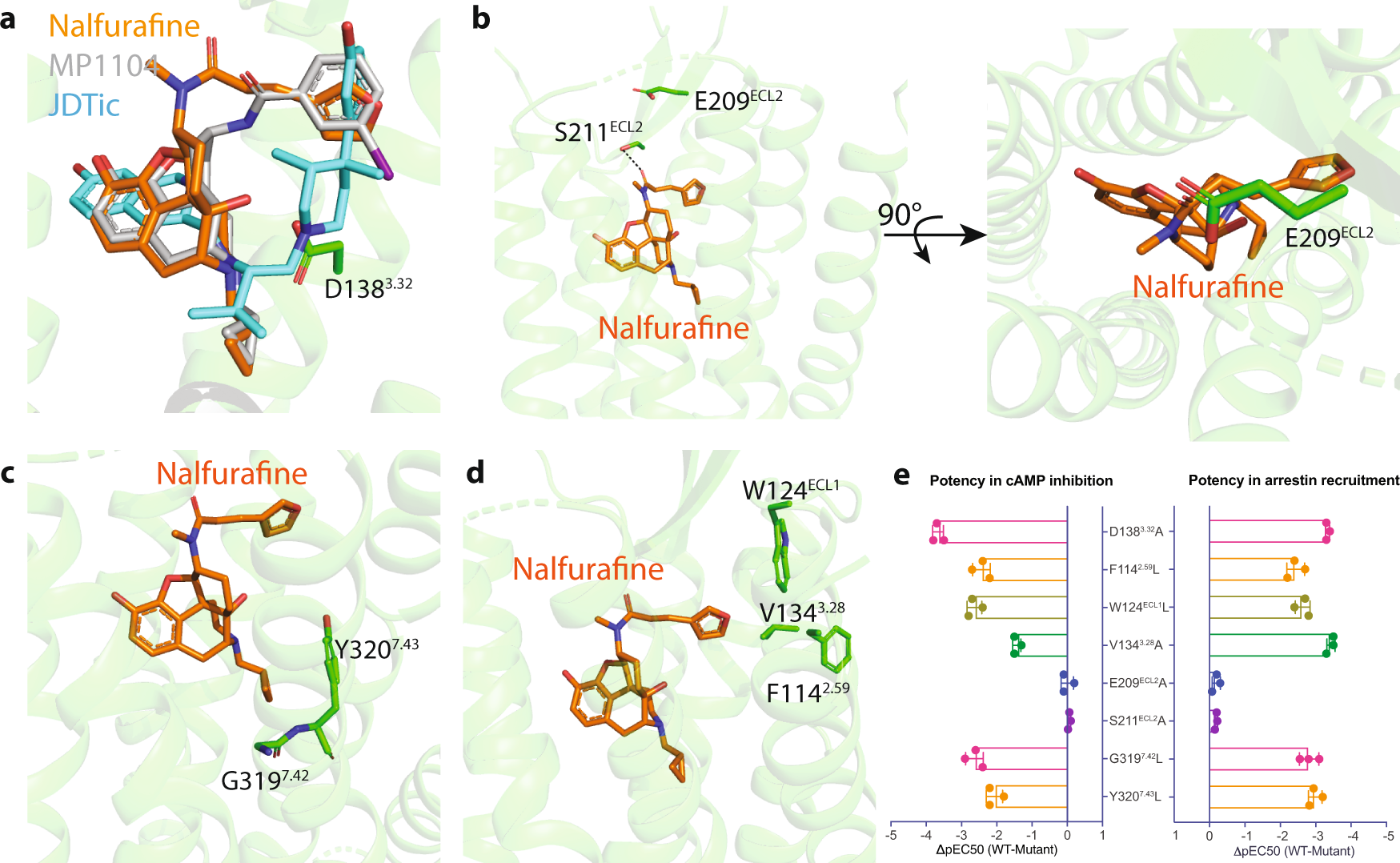 Fig. 2: Molecular signatures of nalfurafine-bound KOR.