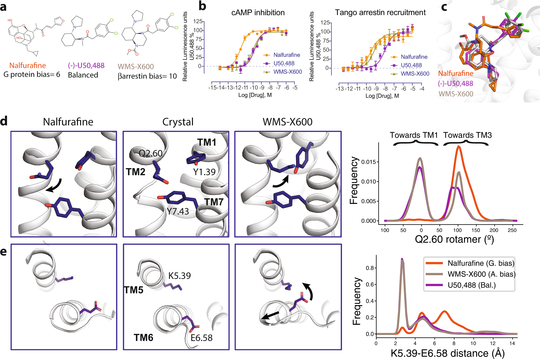 Fig. 3: Molecular dynamics simulations of functionally selective KOR agonists.
