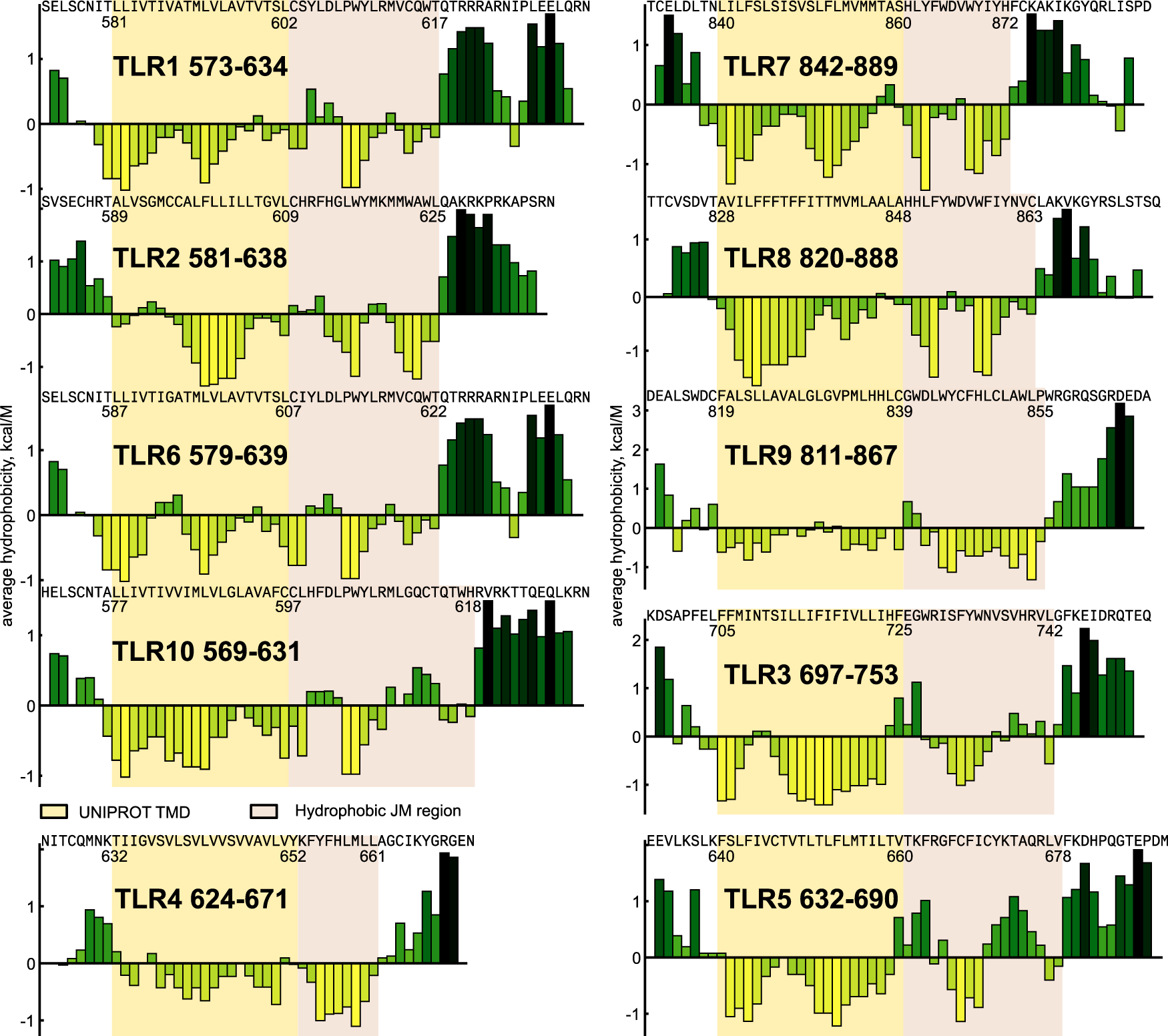 The architecture of transmembrane and cytoplasmic juxtamembrane regions of  Toll-like receptors | Nature Communications