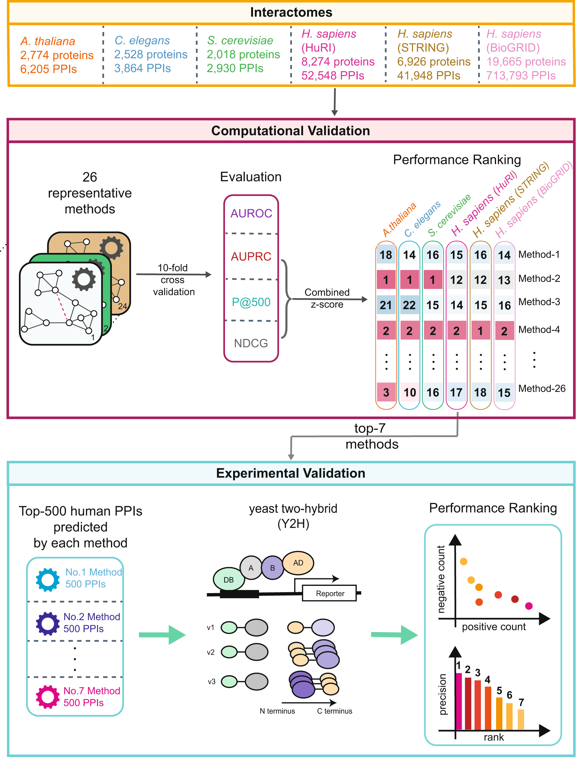 23rd International C. elegans Conference