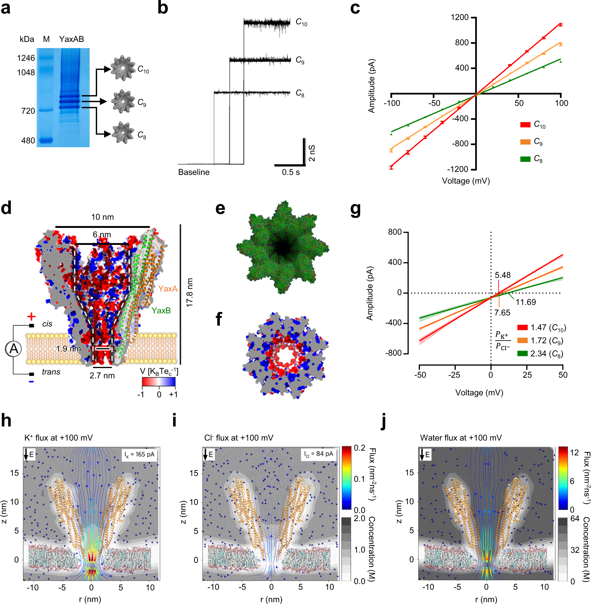 Single-molecule fingerprinting of protein-drug interaction ...