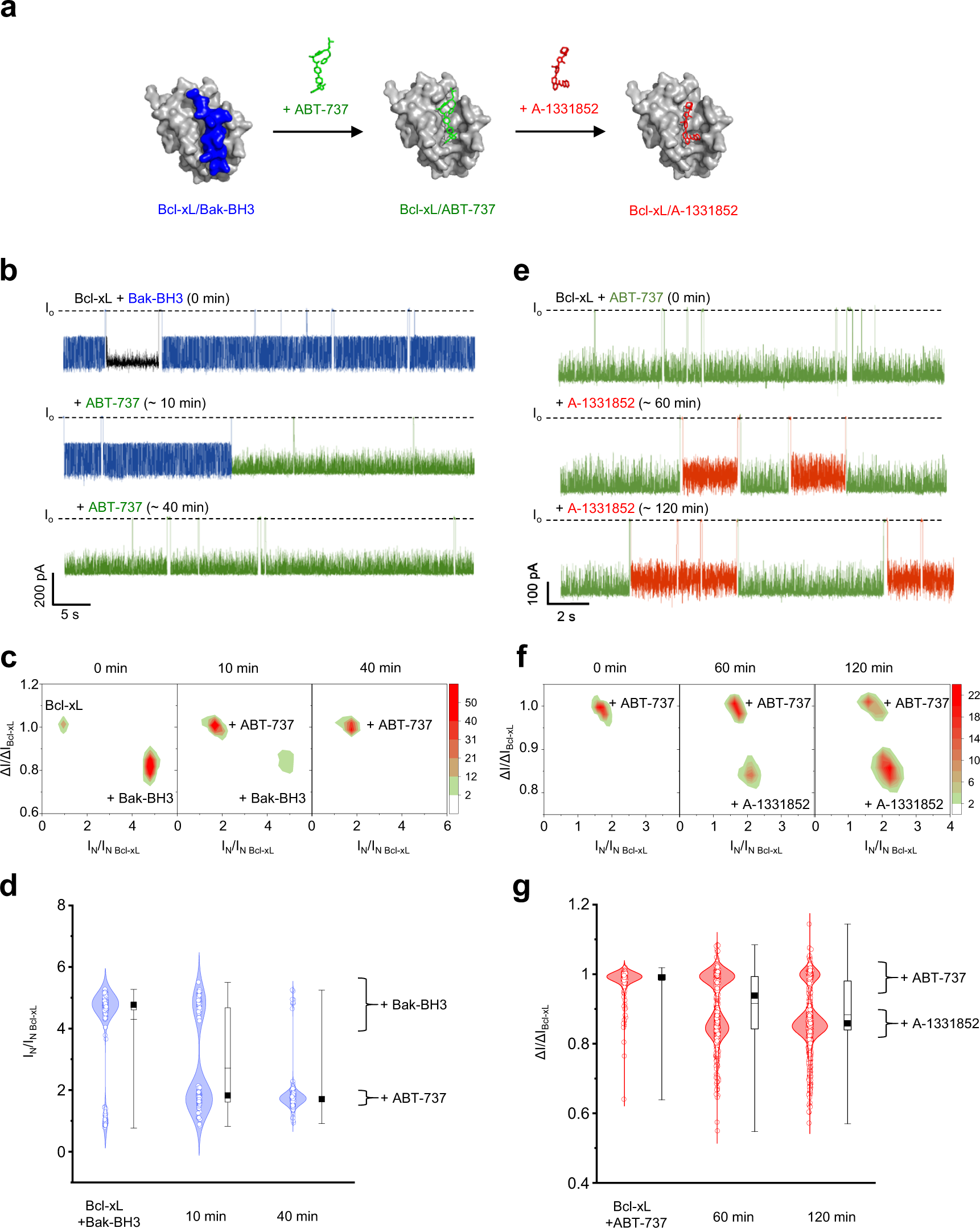 Fig. 5: YaxAB nanopore measurements of drug competition for binding to Bcl-xL.