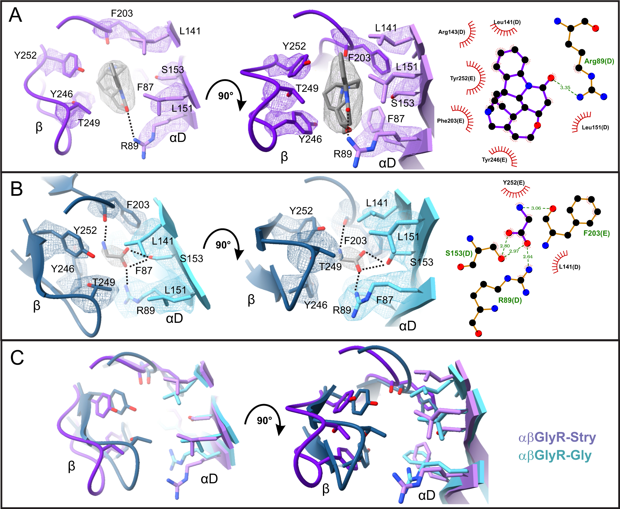 Fig. 5: Strychnine and glycine within the canonical binding site.