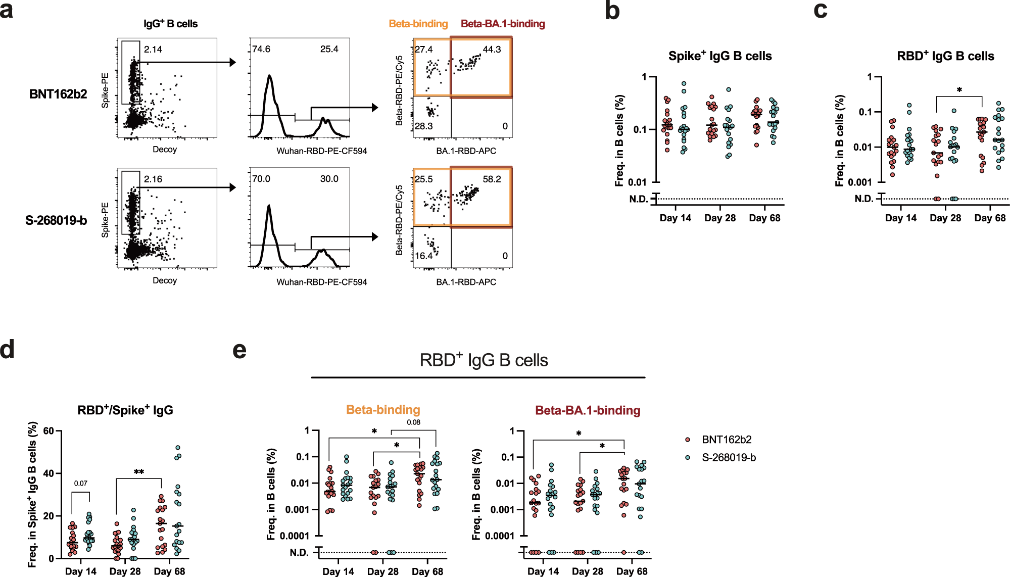 Fig. 4: Plasma antibody and Bmem responses in vaccinees without systemic adverse events.