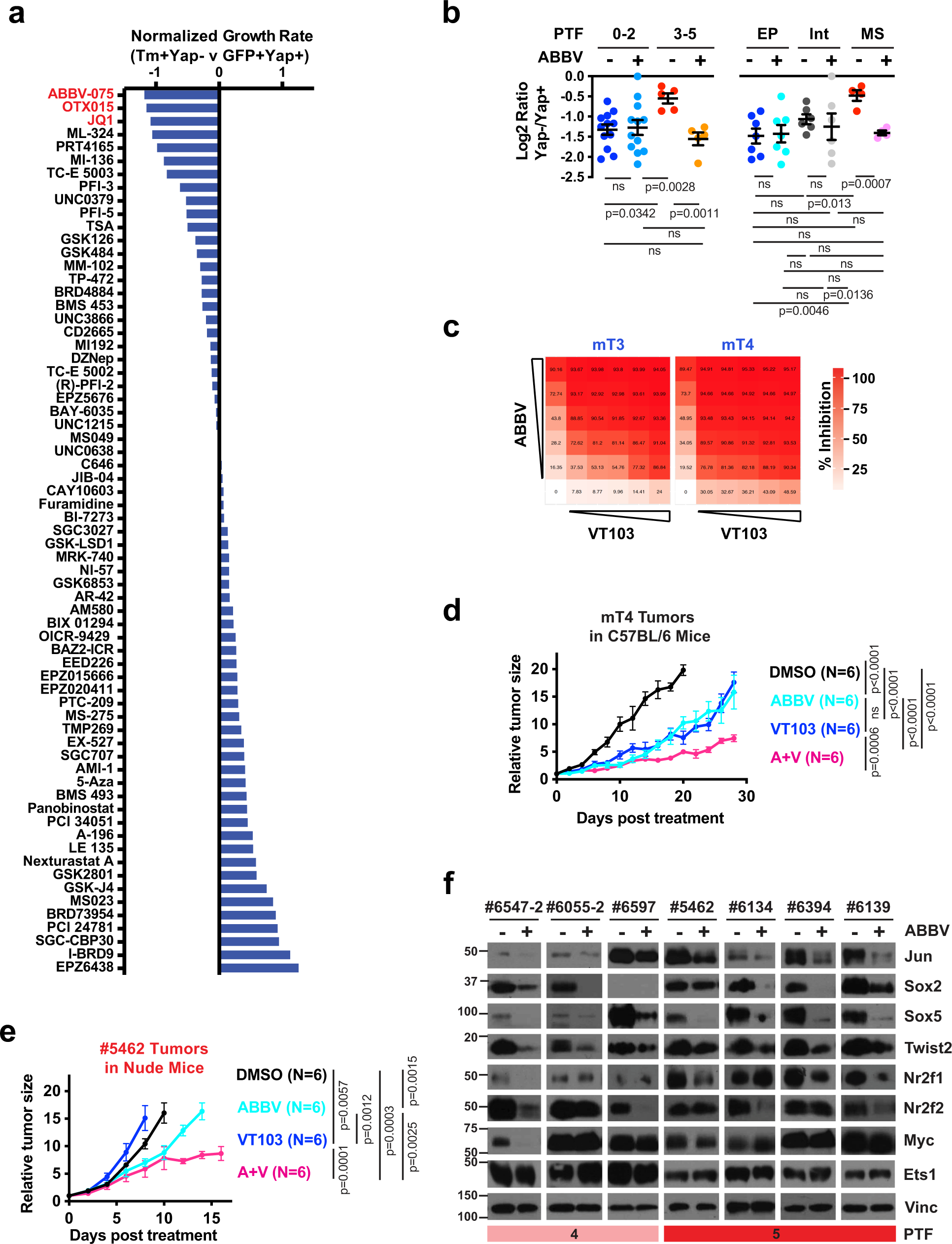 Fig. 7: BET inhibitors block the expression of PTFs and sensitize PDAC cells to Yap inhibition.