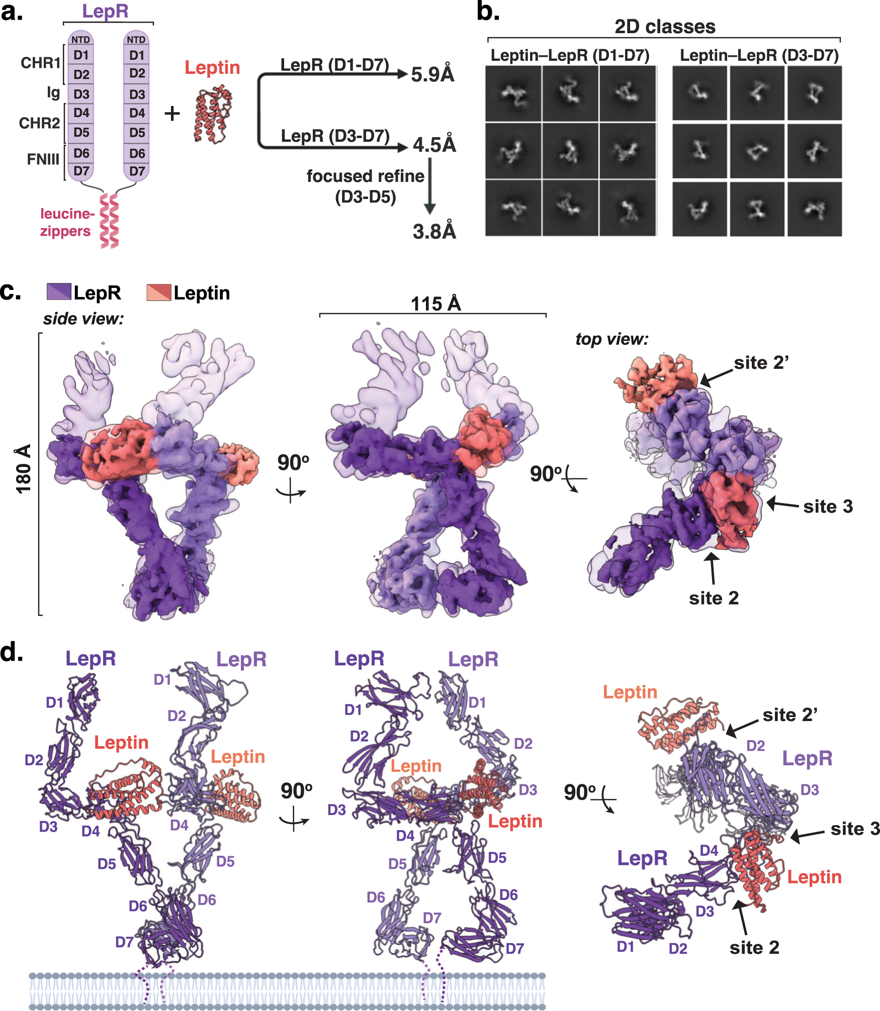 Clinical and molecular findings of the six patients with Rubinstein