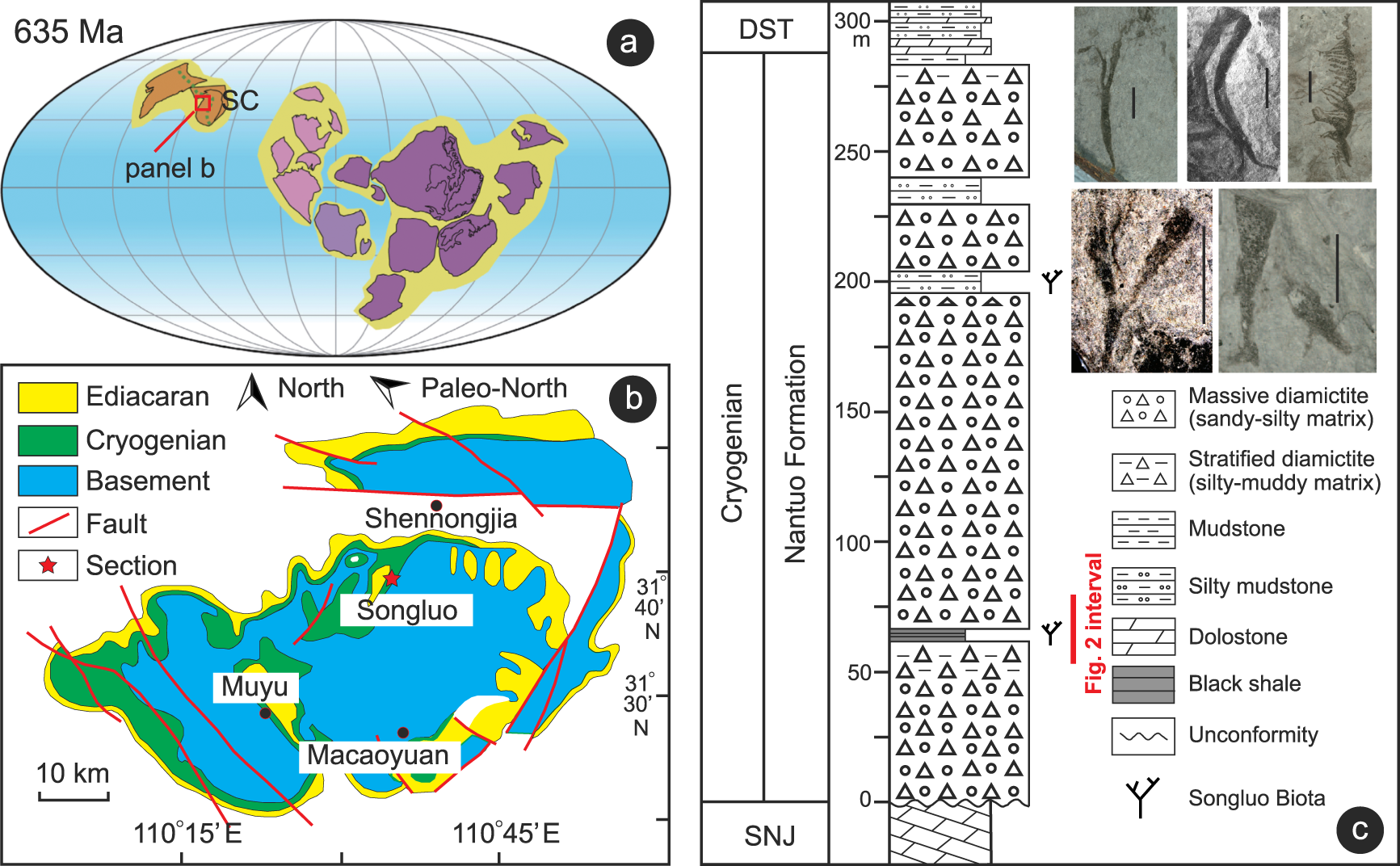 Fig. 1: Location, stratigraphy, and fossils of the Songluo Biota.