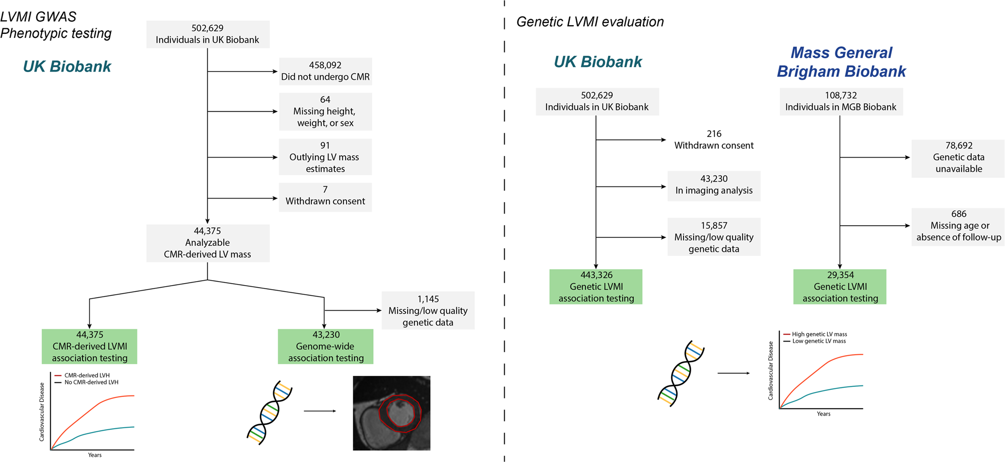 Genomic Analysis of Left Ventricular Remodeling