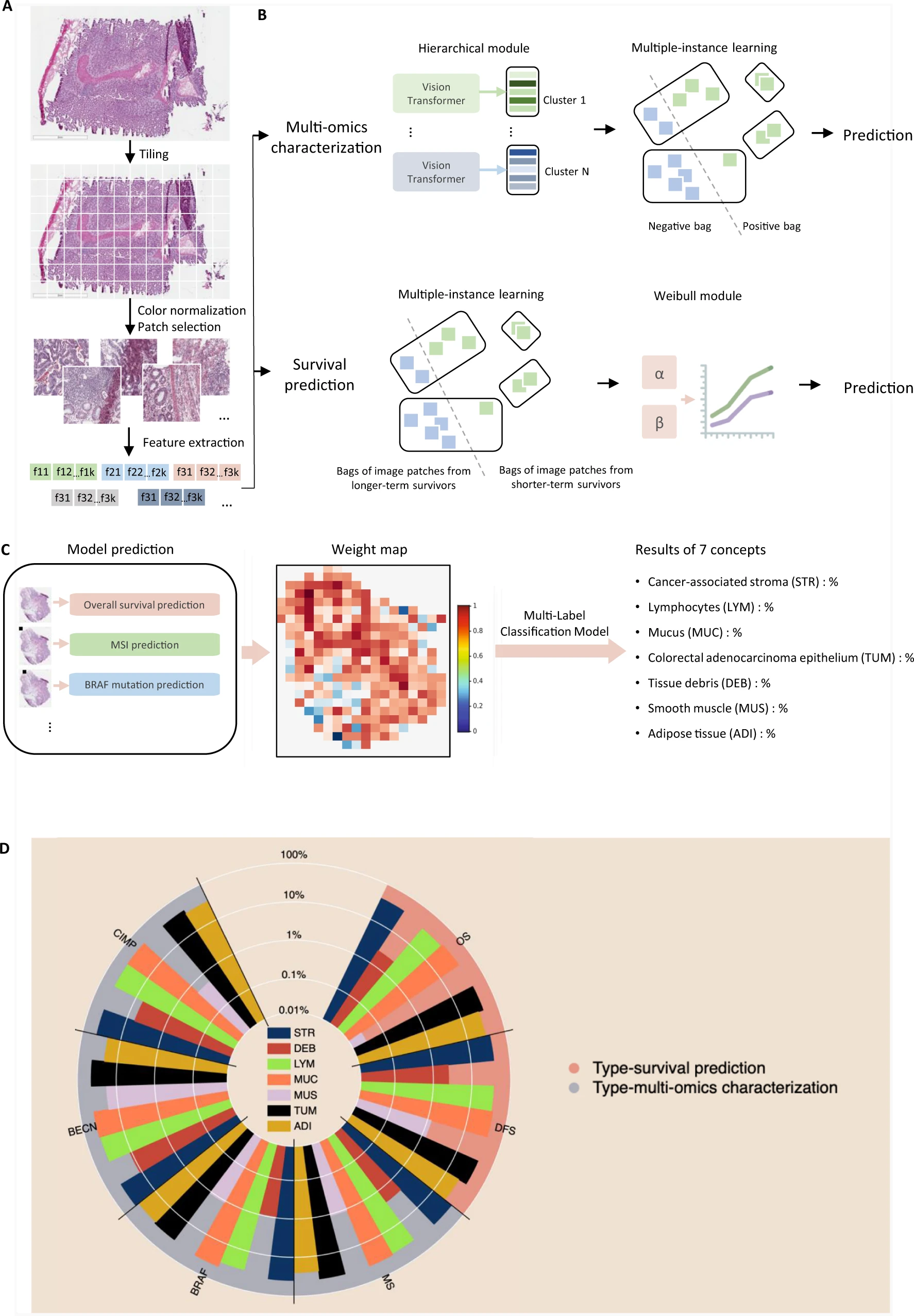 Fig. 1: An overview of the Multi-omics Multi-cohort Assessment (MOMA) machine learning framework.