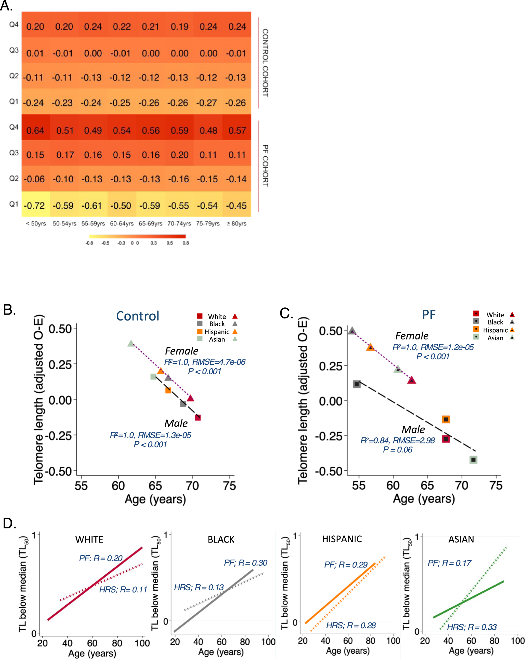 Fig. 4: Standardized leukocyte telomere length (TL) measured by qPCR demonstrates wider interquartile range variation in pulmonary fibrosis (PF) and decreases with increasing age.