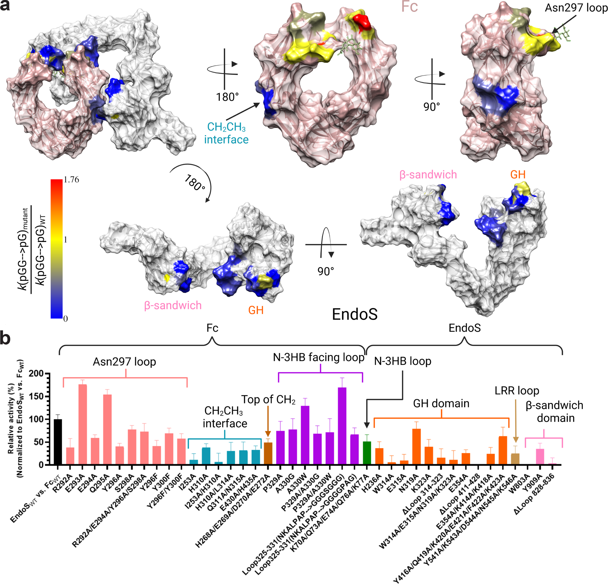 Fig. 3: Alanine scanning mutagenesis of the EndoS-Fc interface.