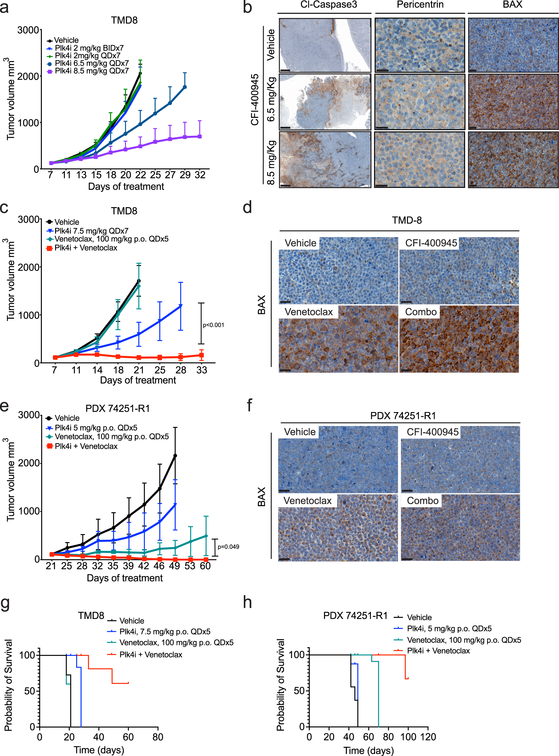 Fig. 5: The combination of CFI and venetoclax is safe and highly effective against CFI-aggressive lymphomas in vivo.